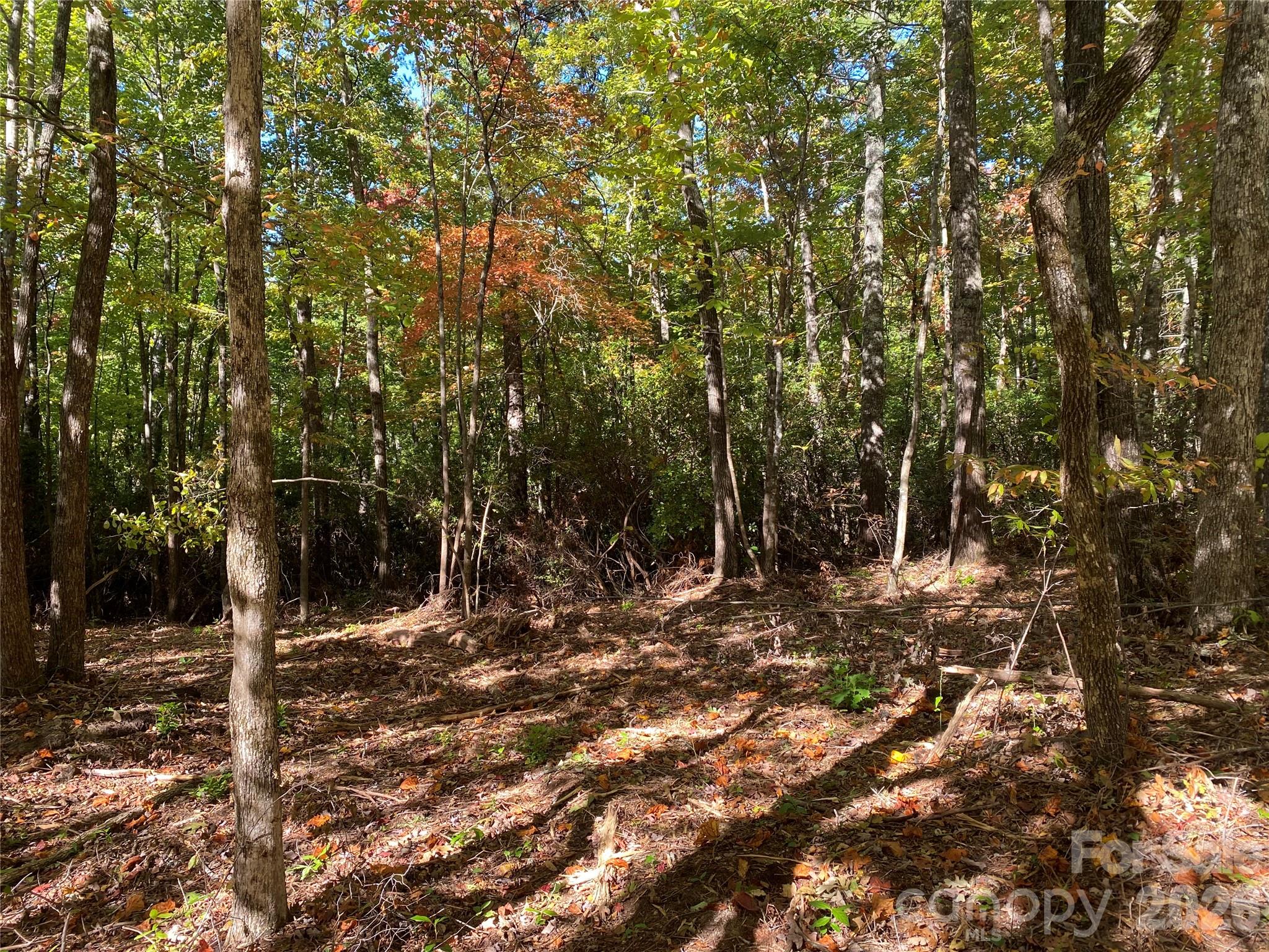 Lot at 24 Oak Brook West Lane, Brevard, photo 4 of 7