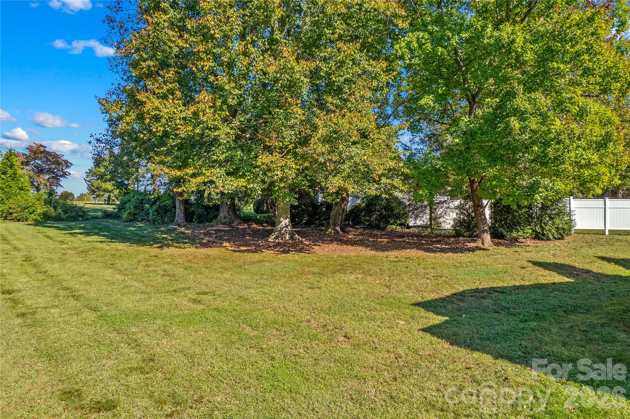 Shady area would be perfect for a hammock and a good book! - 178 Nellwood Court, Mocksville