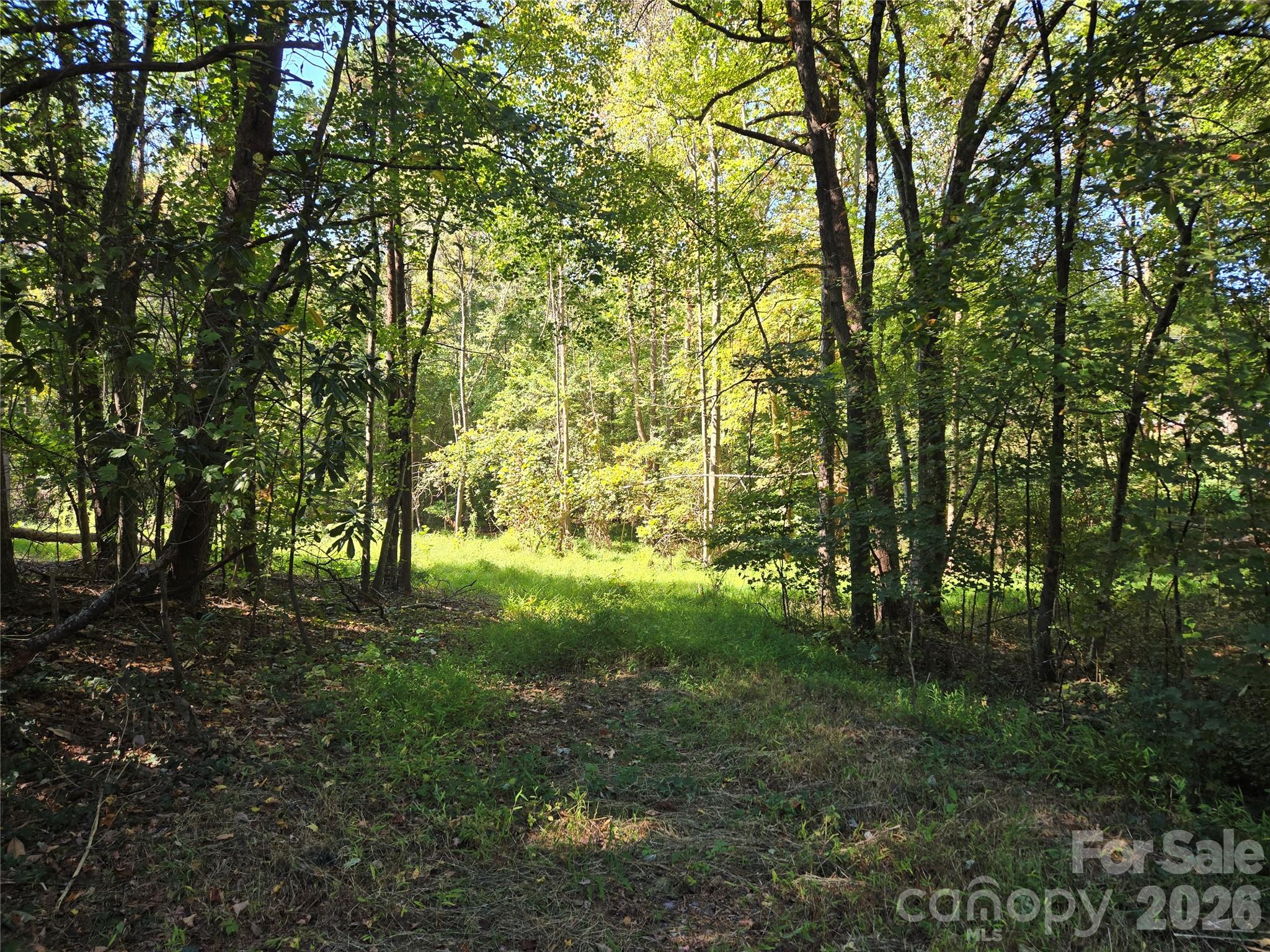 Lot at 0 Cemetery Street, East Bend, photo 5 of 17