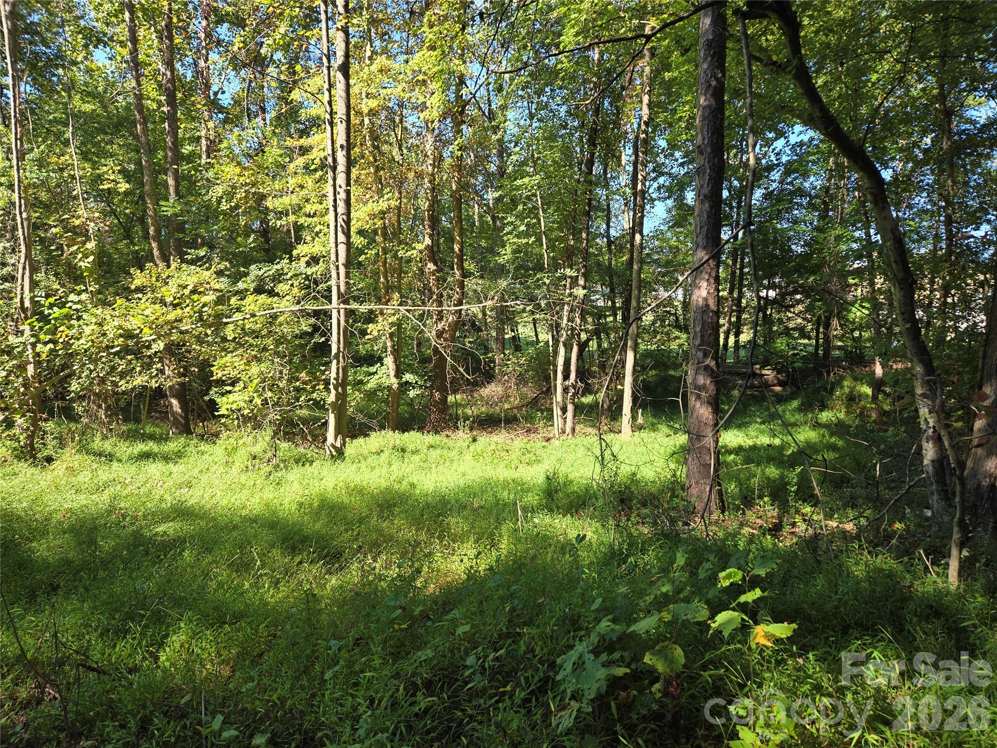 Lot at 0 Cemetery Street, East Bend, photo 7 of 17