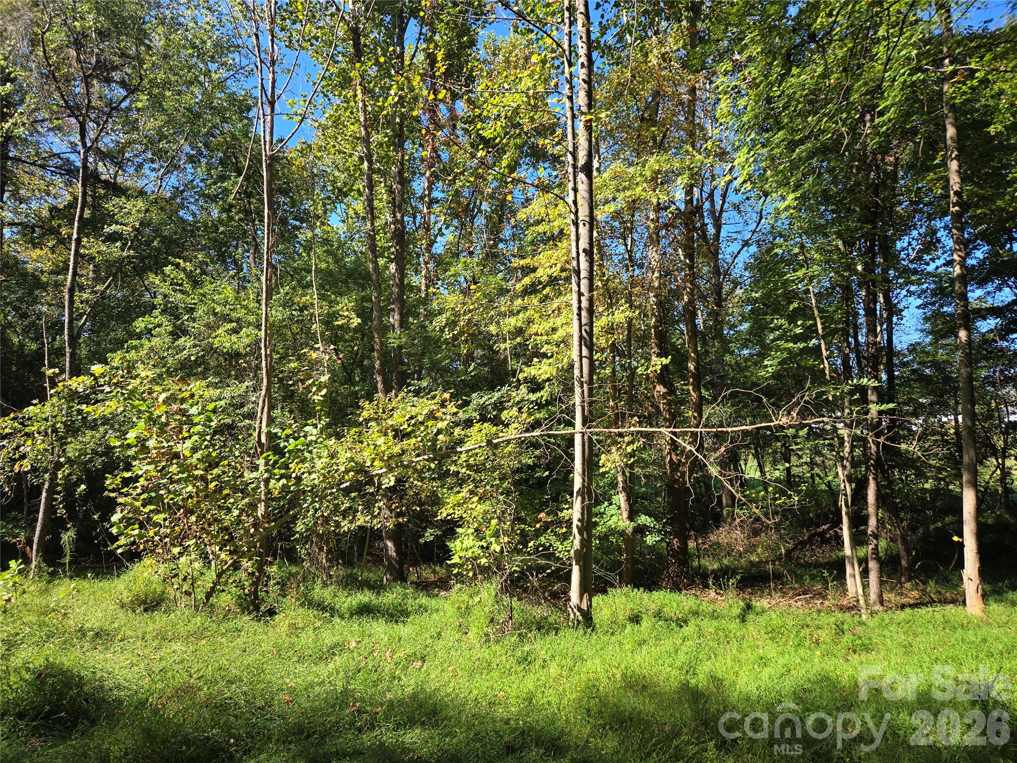 Lot at 0 Cemetery Street, East Bend, photo 10 of 17