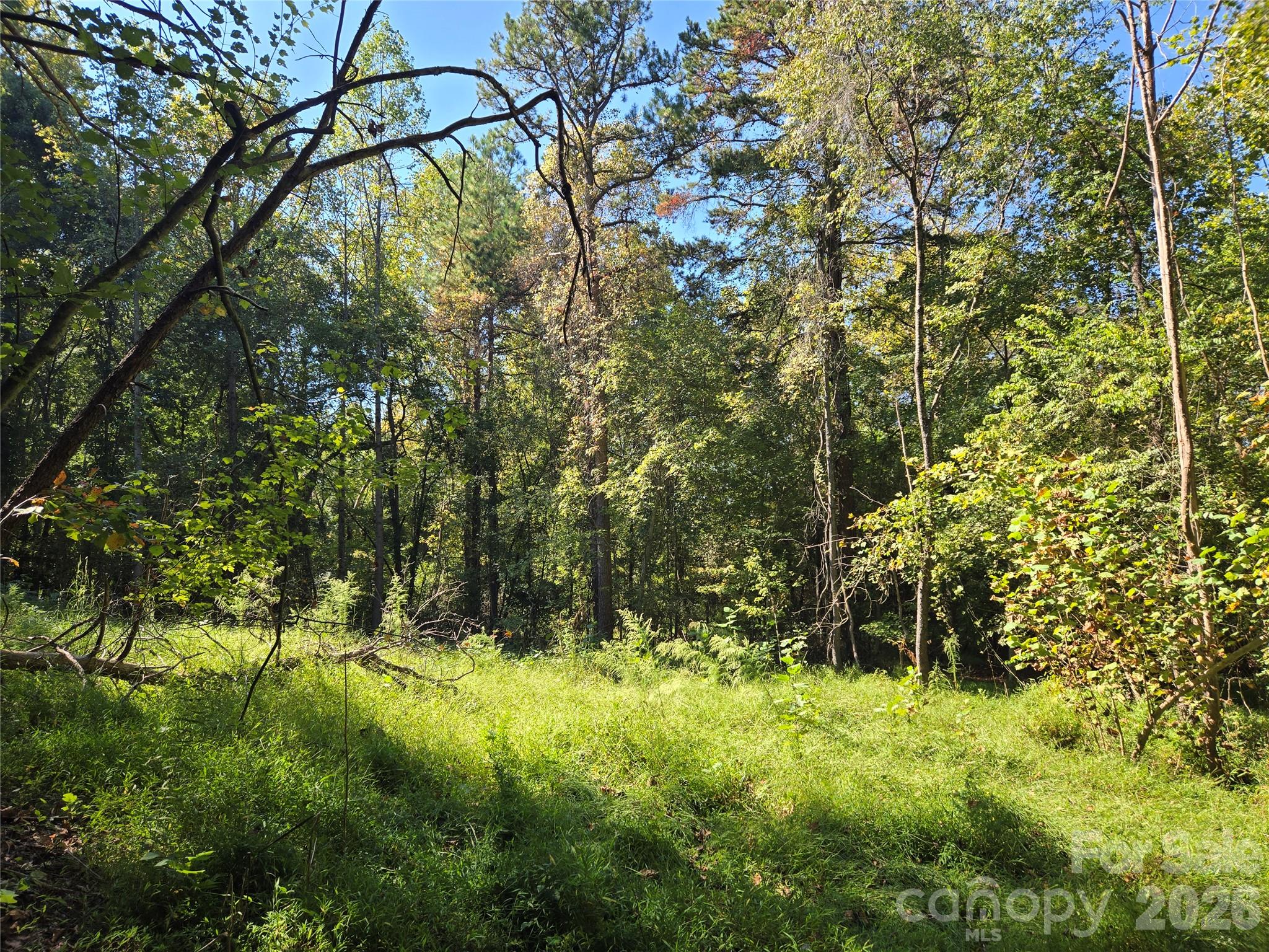 Lot at 0 Cemetery Street, East Bend, photo 12 of 17