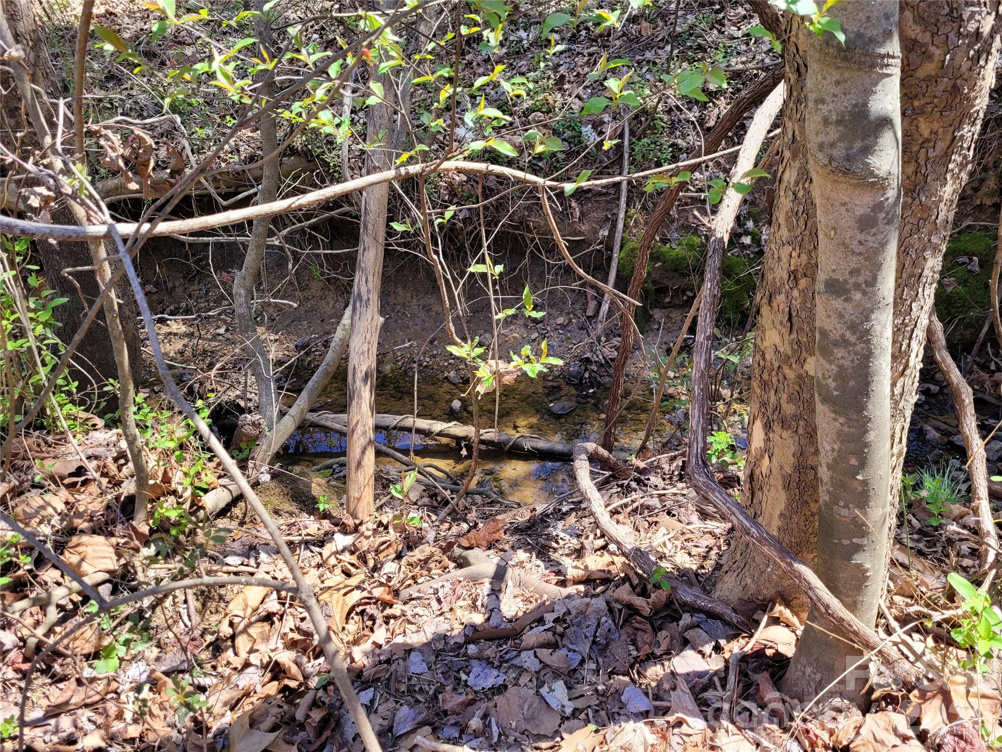 Lot at 0 Cemetery Street, East Bend, photo 15 of 17
