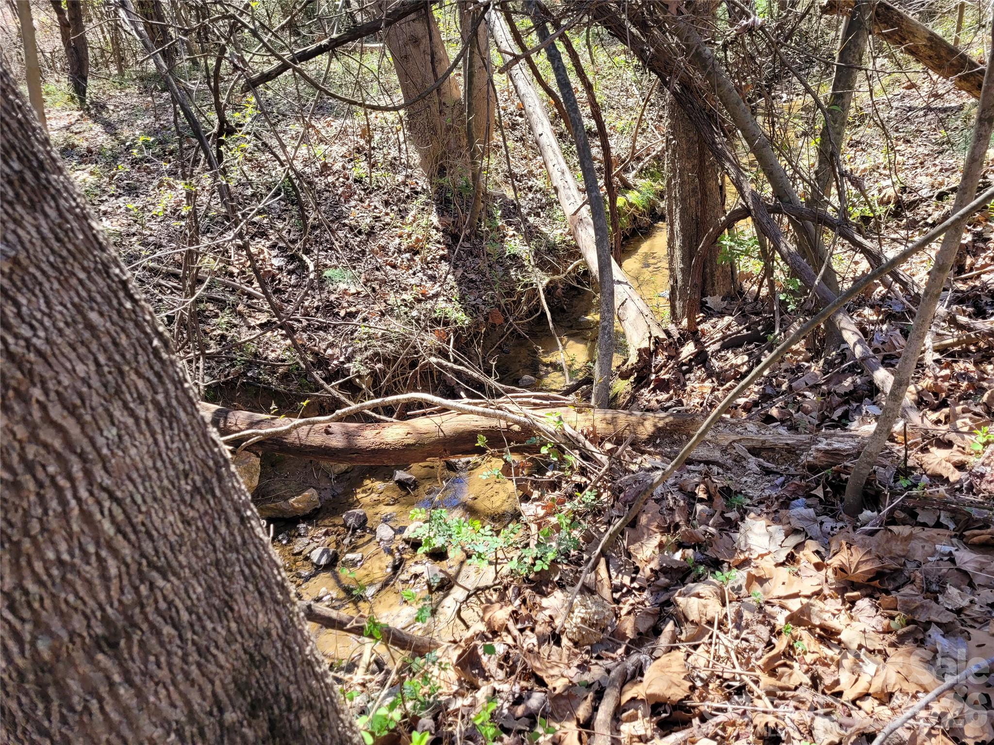 Lot at 0 Cemetery Street, East Bend, photo 16 of 17