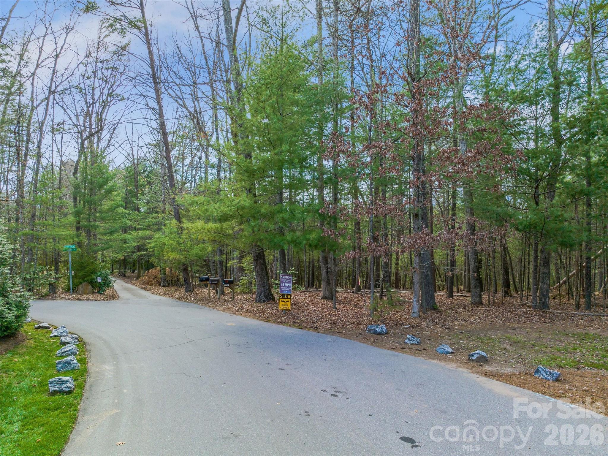 Lot at 99999 Lot 2 Racquet Club Road, Asheville, photo 5 of 22