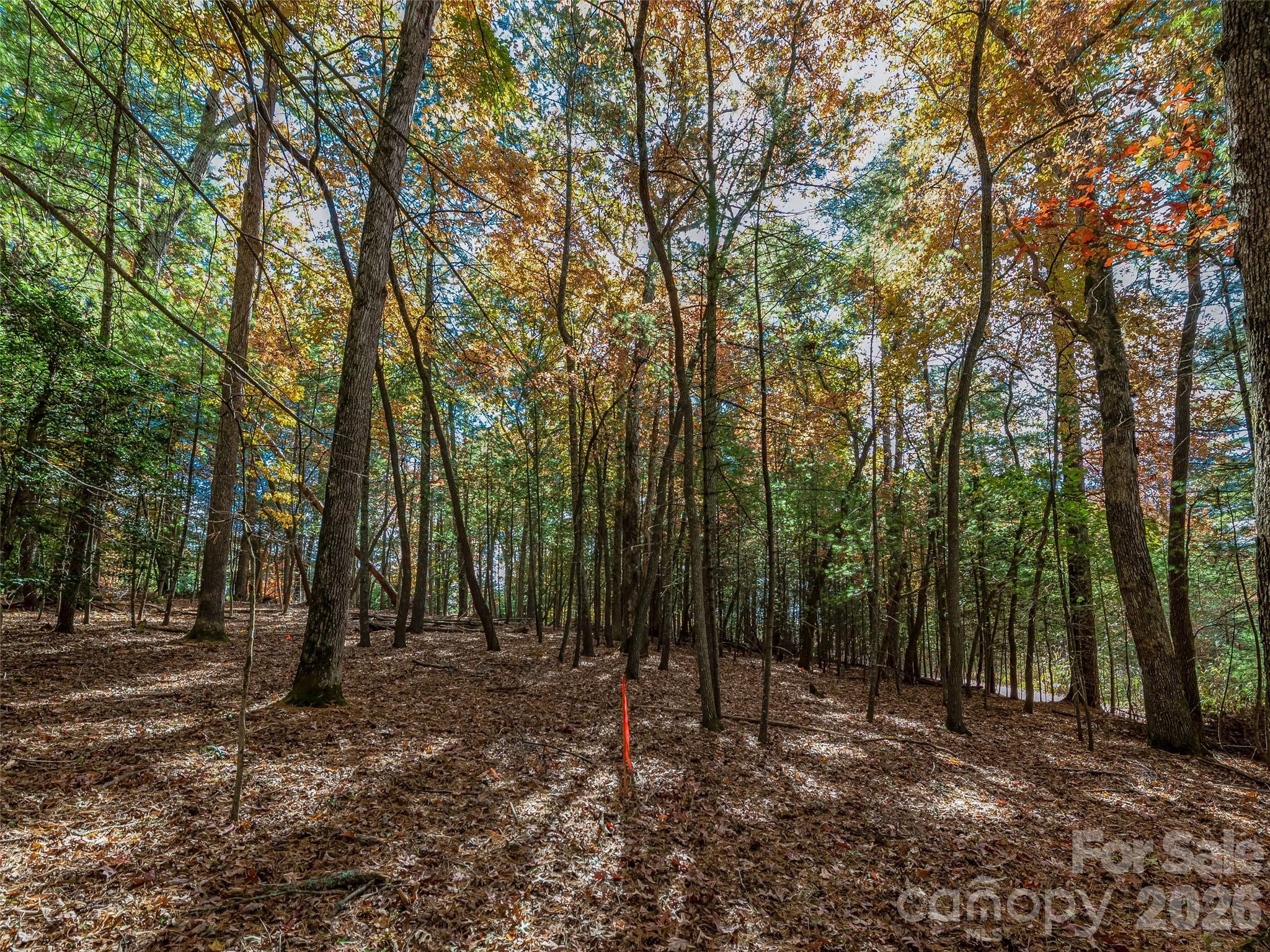 Lot at 99999 Lot 2 Racquet Club Road, Asheville, photo 10 of 22