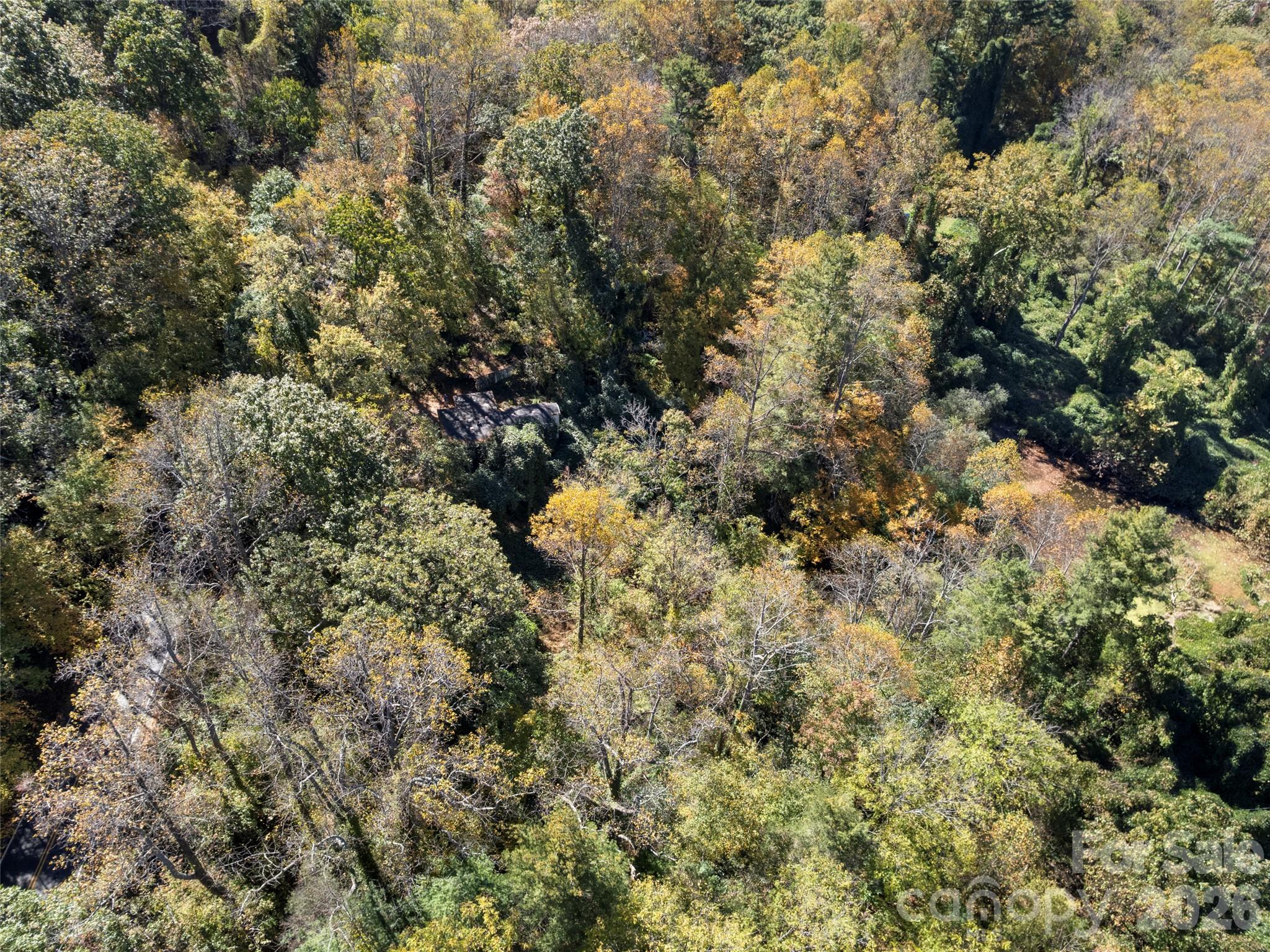 Single Family Residence at 11 Cedar Mountain Road, Asheville, photo 4 of 17