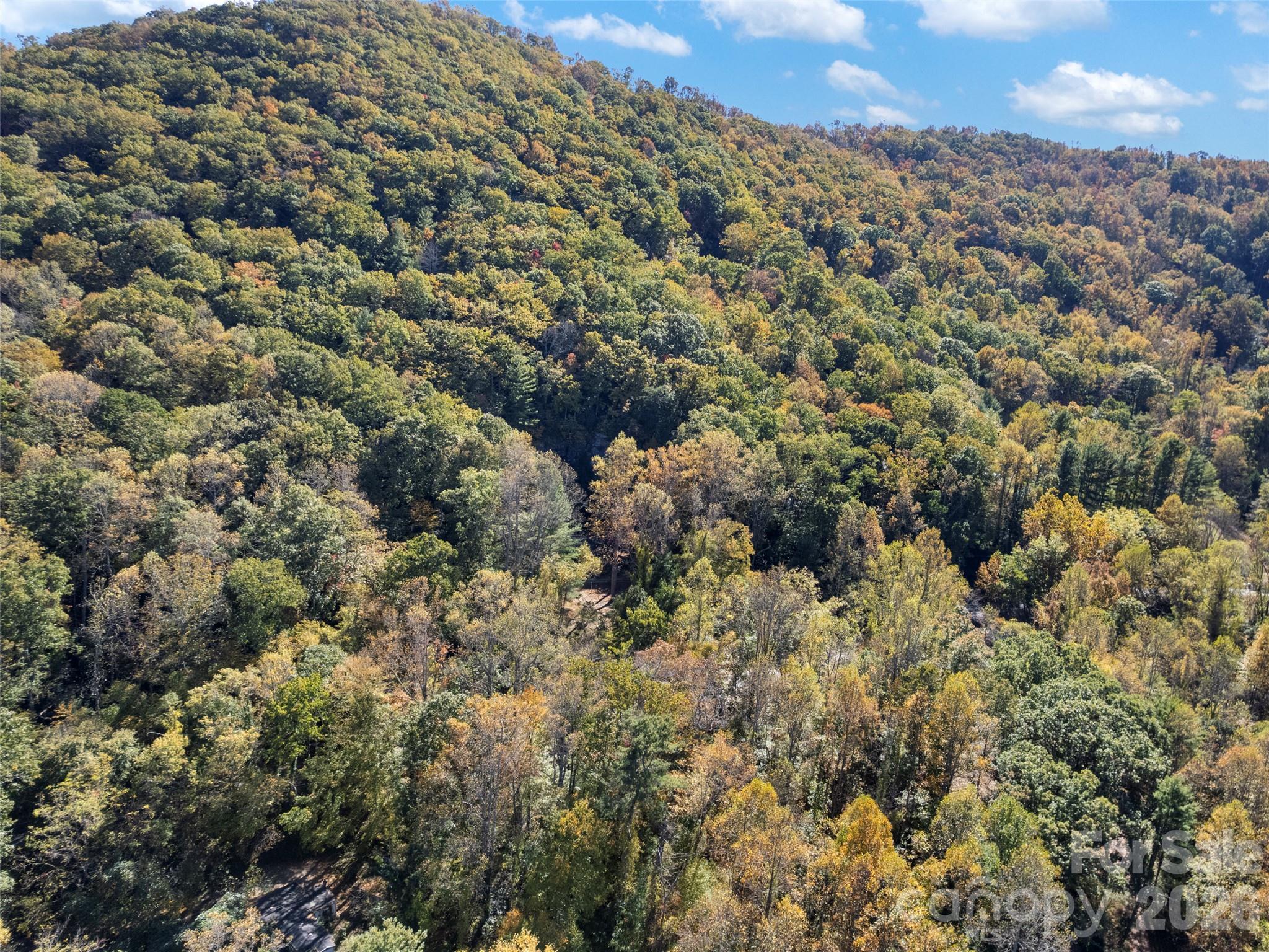 Single Family Residence at 11 Cedar Mountain Road, Asheville, photo 5 of 17