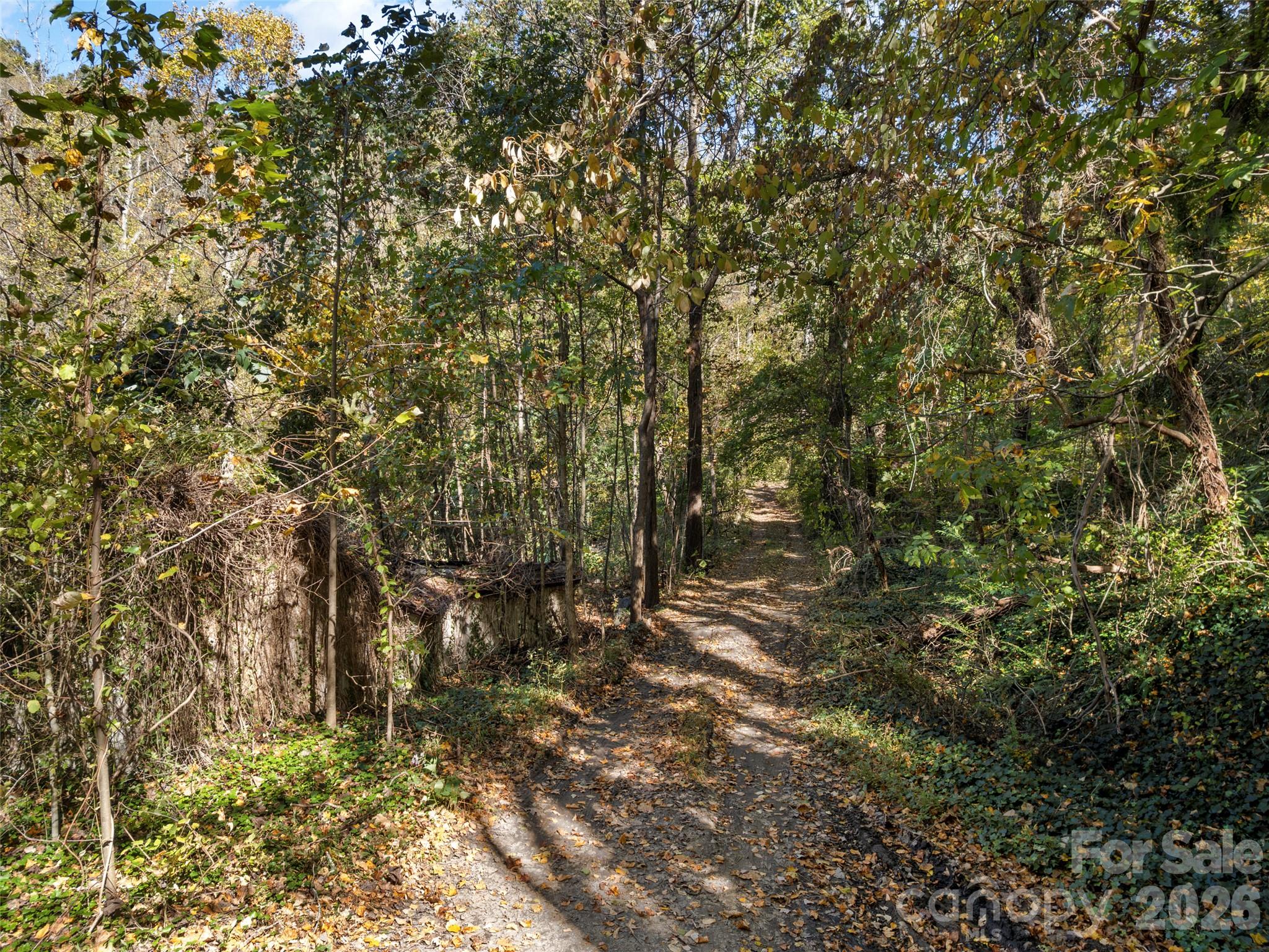 Single Family Residence at 11 Cedar Mountain Road, Asheville, photo 9 of 17