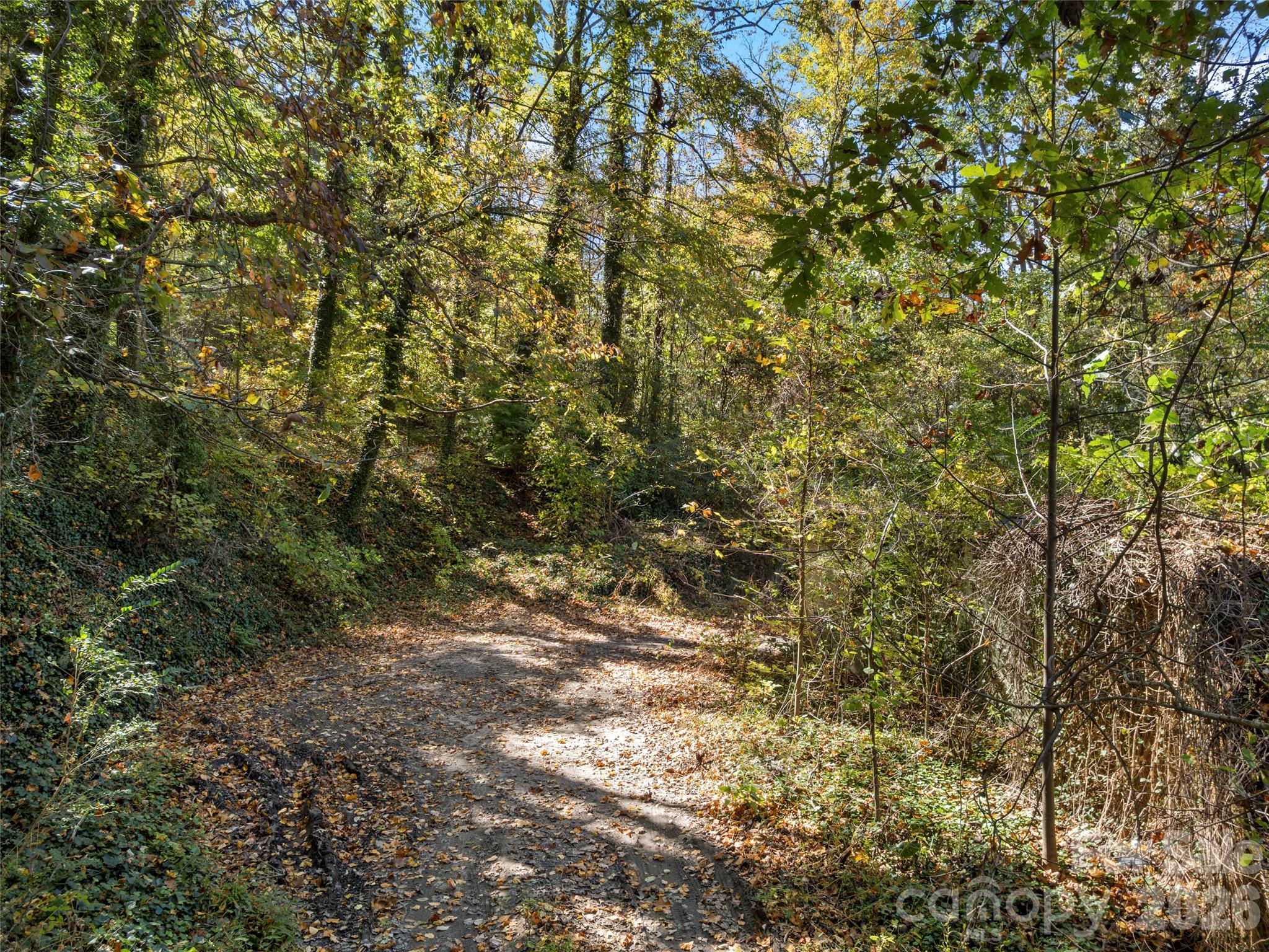 Single Family Residence at 11 Cedar Mountain Road, Asheville, photo 10 of 17