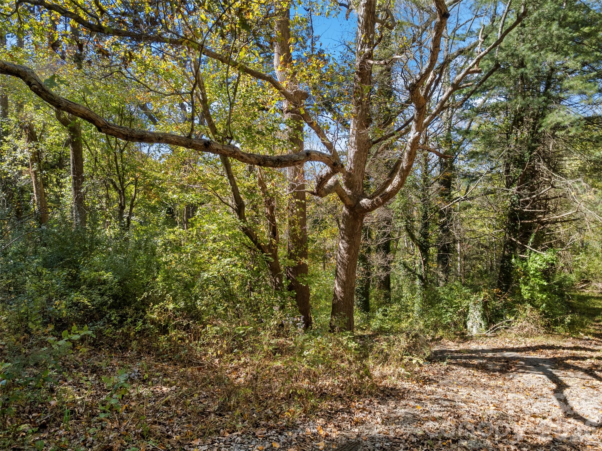 Single Family Residence at 11 Cedar Mountain Road, Asheville, photo 13 of 17