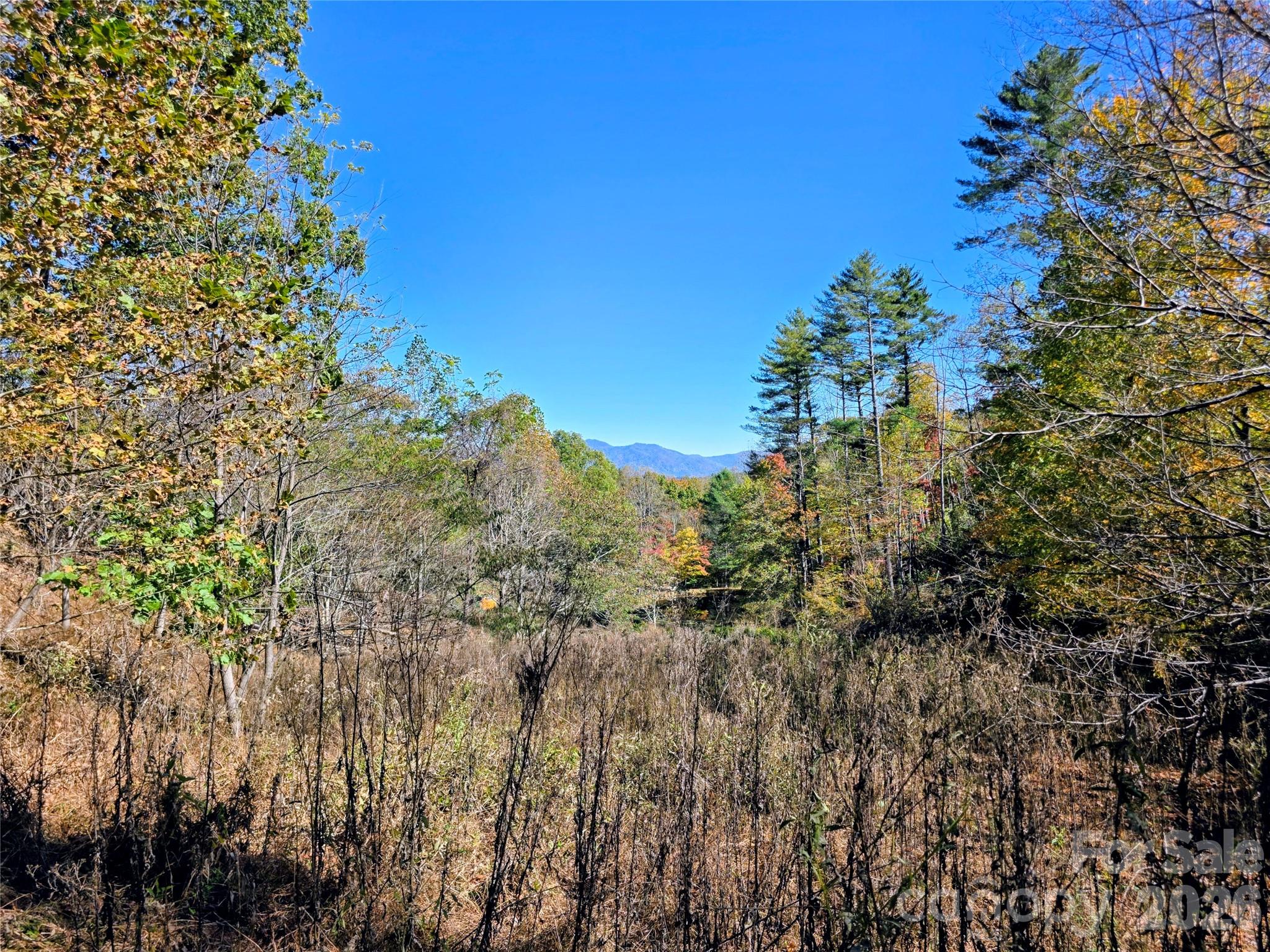 00 Big Brush Creek Road