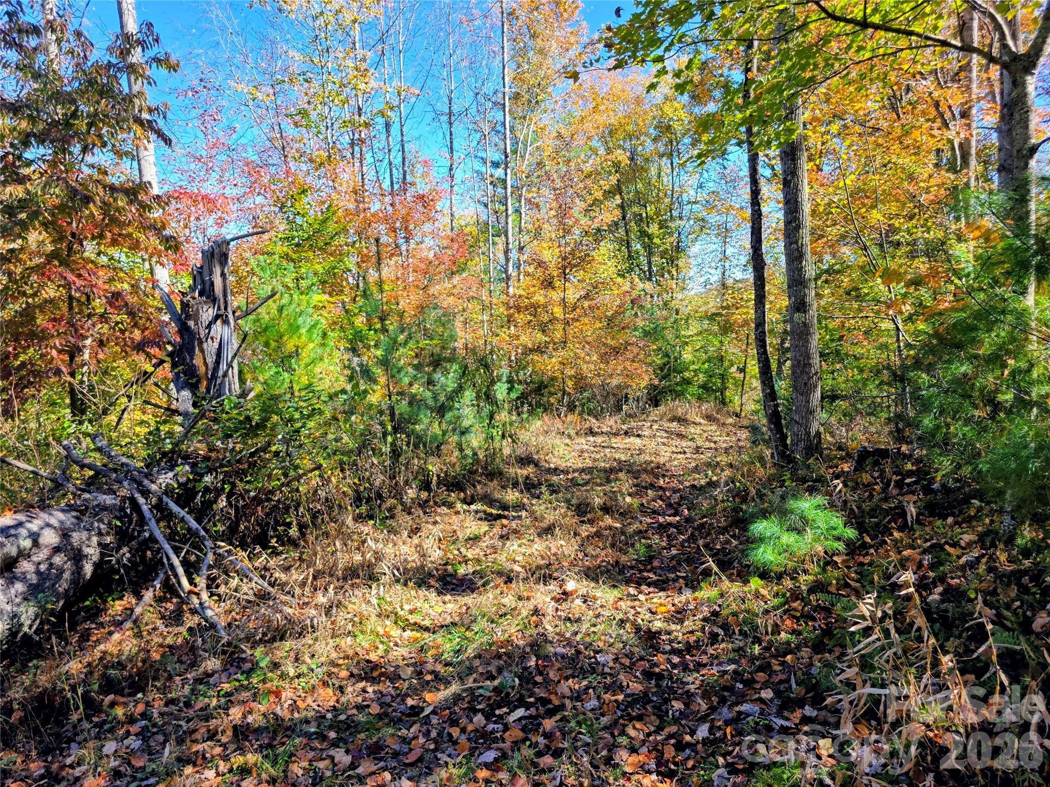 Acreage at 00 Big Brush Creek Road, Green Mountain, photo 5 of 15