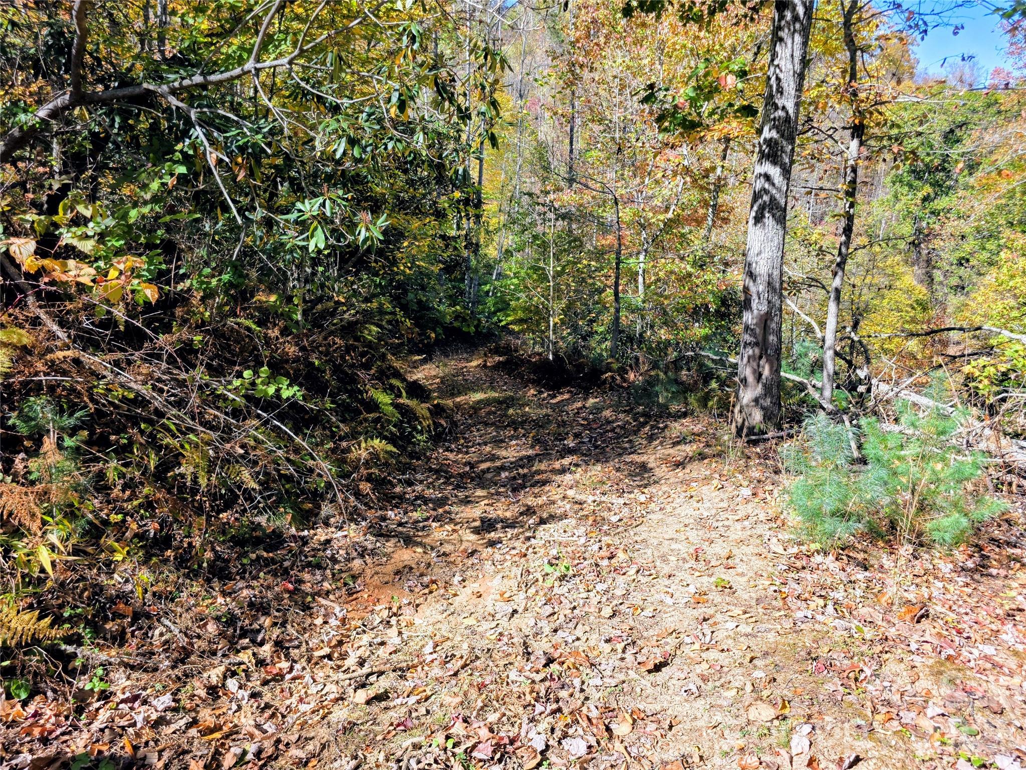 Acreage at 00 Big Brush Creek Road, Green Mountain, photo 13 of 15