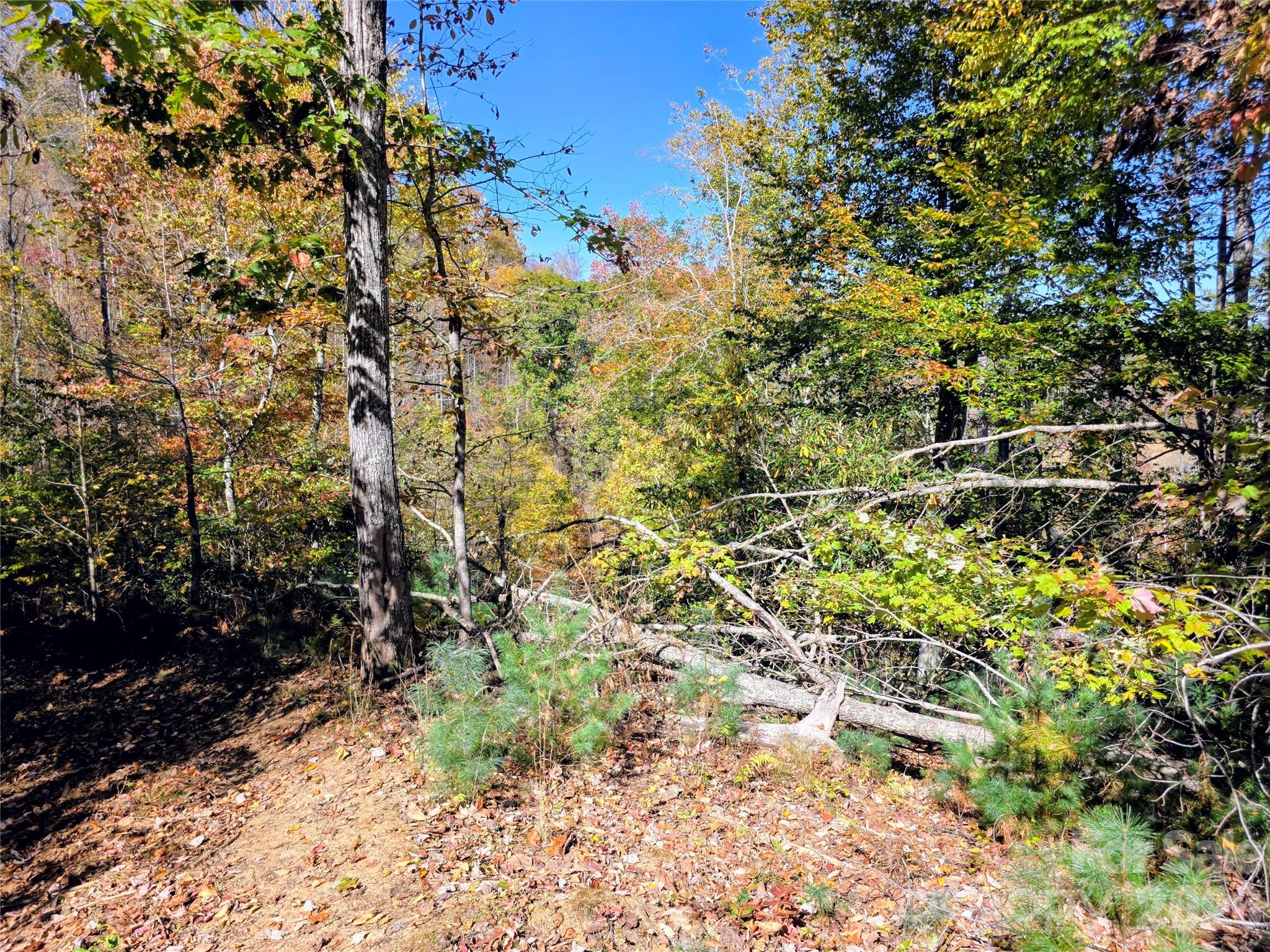 Acreage at 00 Big Brush Creek Road, Green Mountain, photo 14 of 15