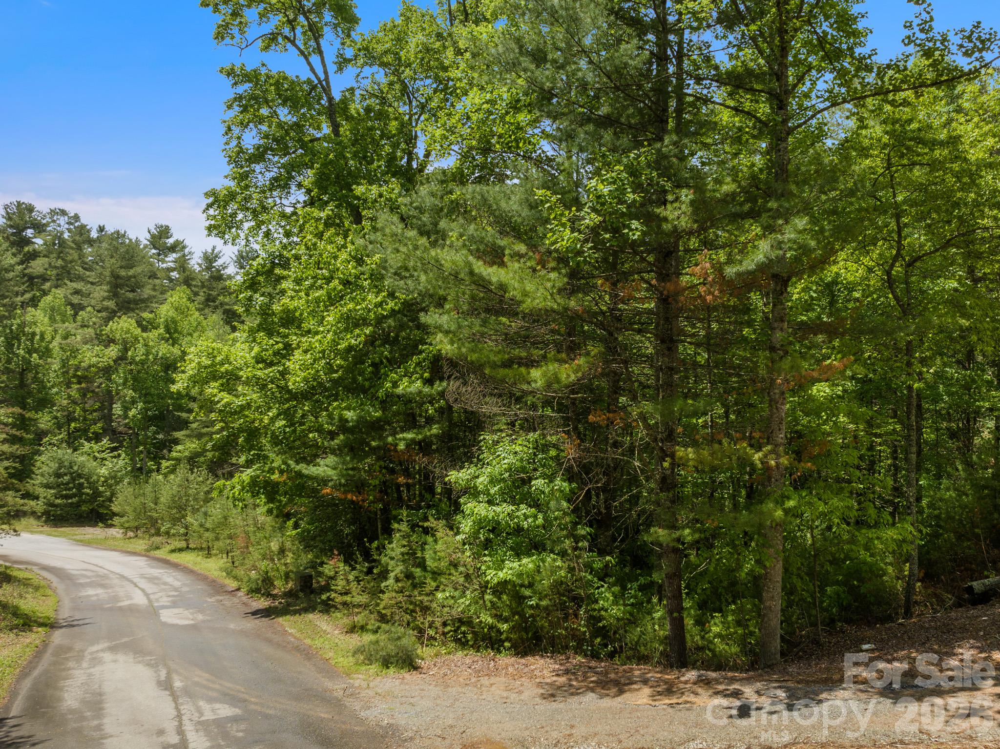 Lot at Lot #28 Awi Trail, Hendersonville, photo 10 of 11