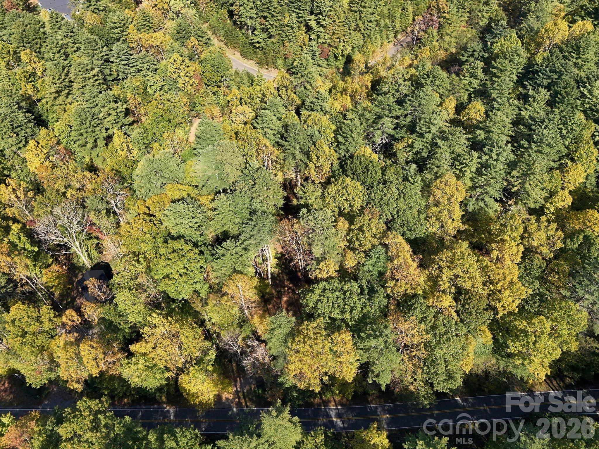 Lot at 2230 Evans Road, Hendersonville, photo 2 of 12