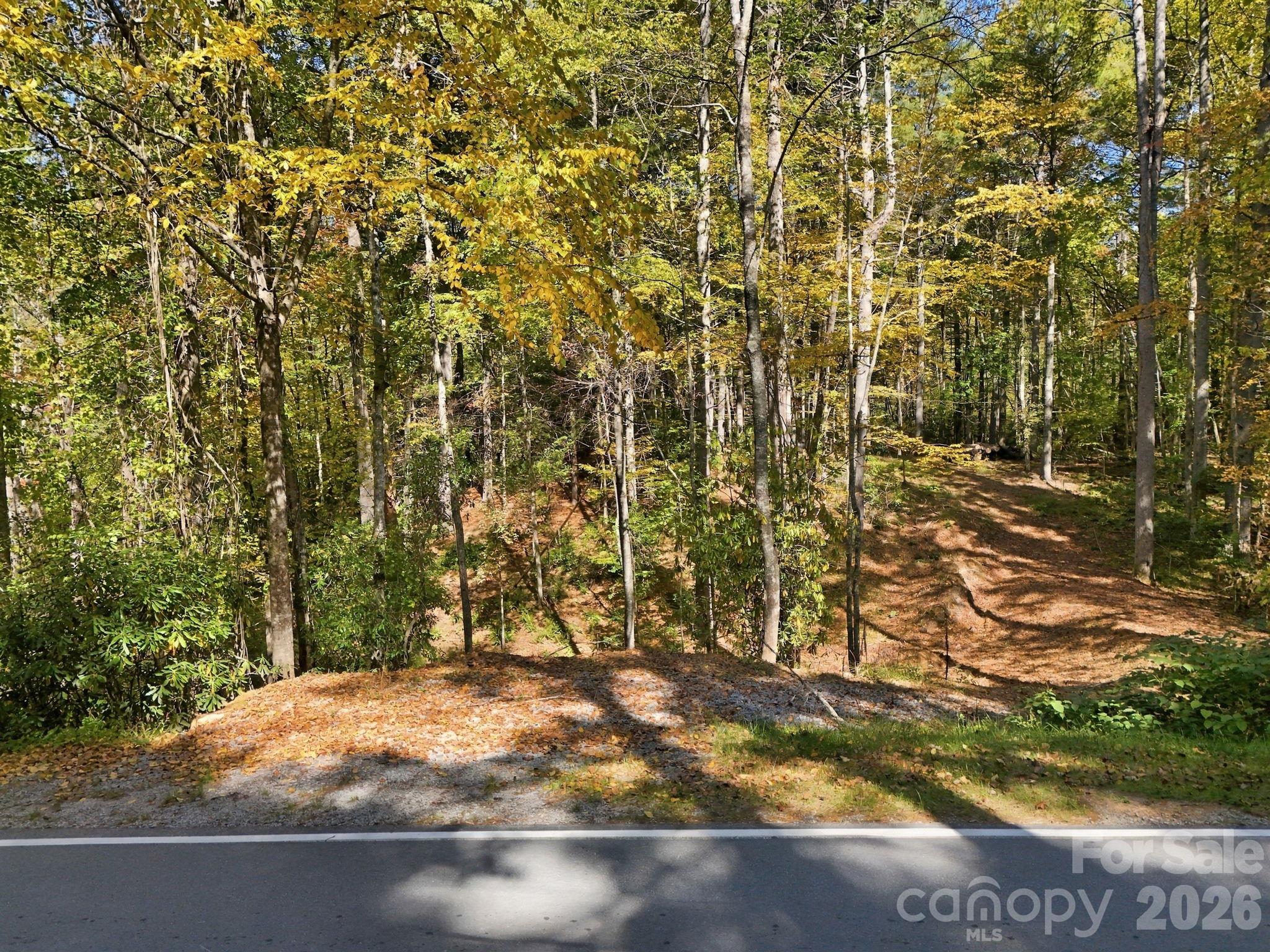 Lot at 2230 Evans Road, Hendersonville, photo 4 of 12