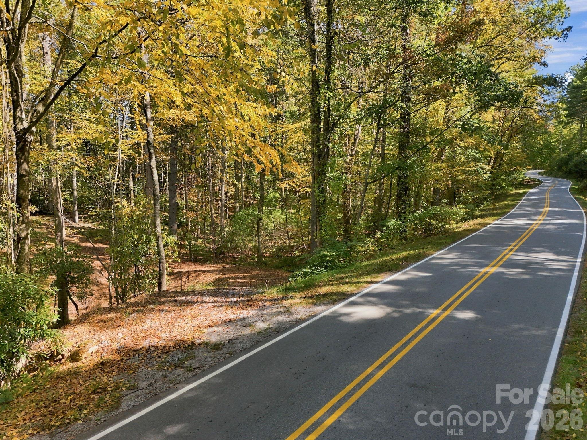 Lot at 2230 Evans Road, Hendersonville, photo 5 of 12