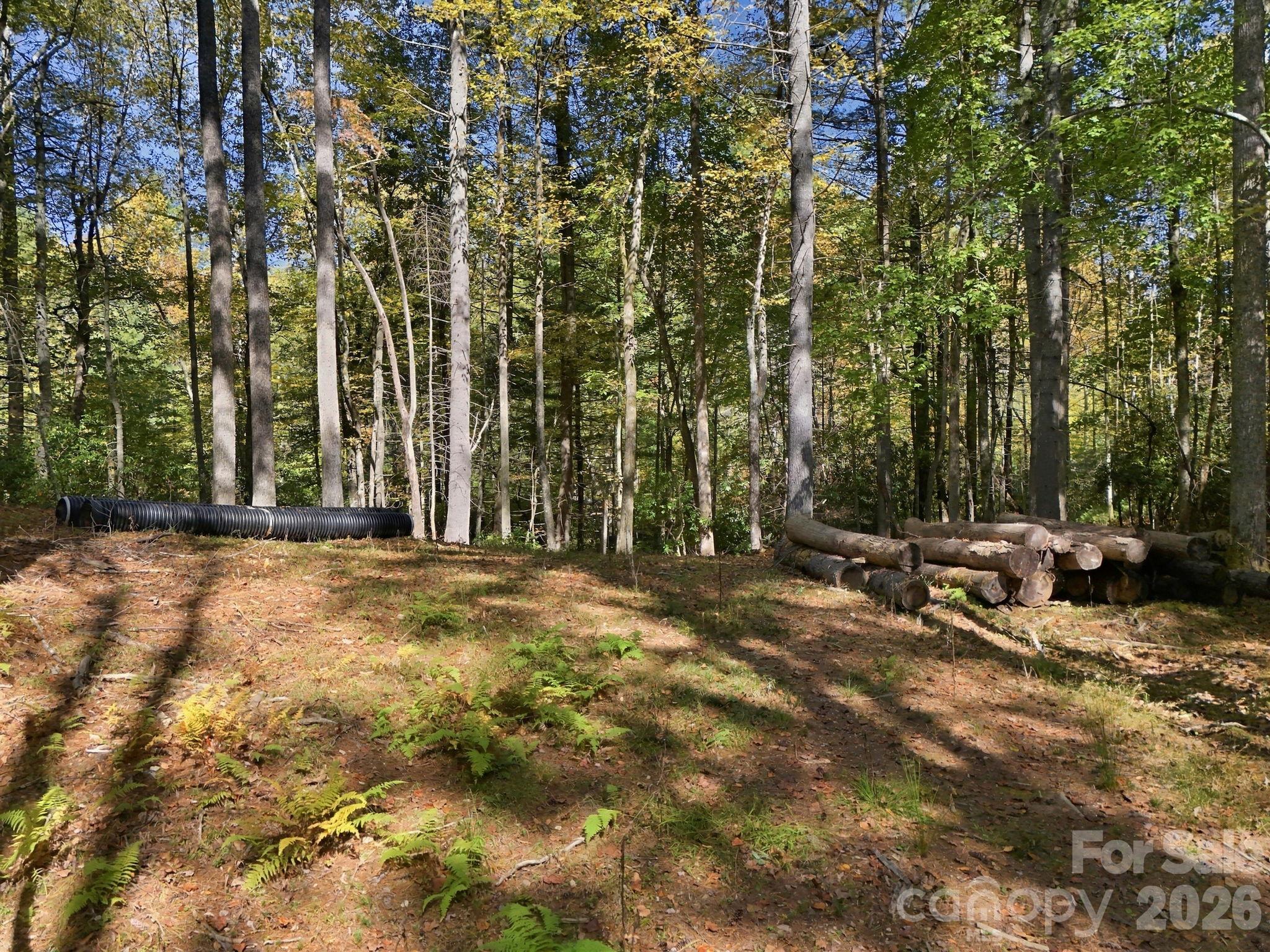 Lot at 2230 Evans Road, Hendersonville, photo 7 of 12