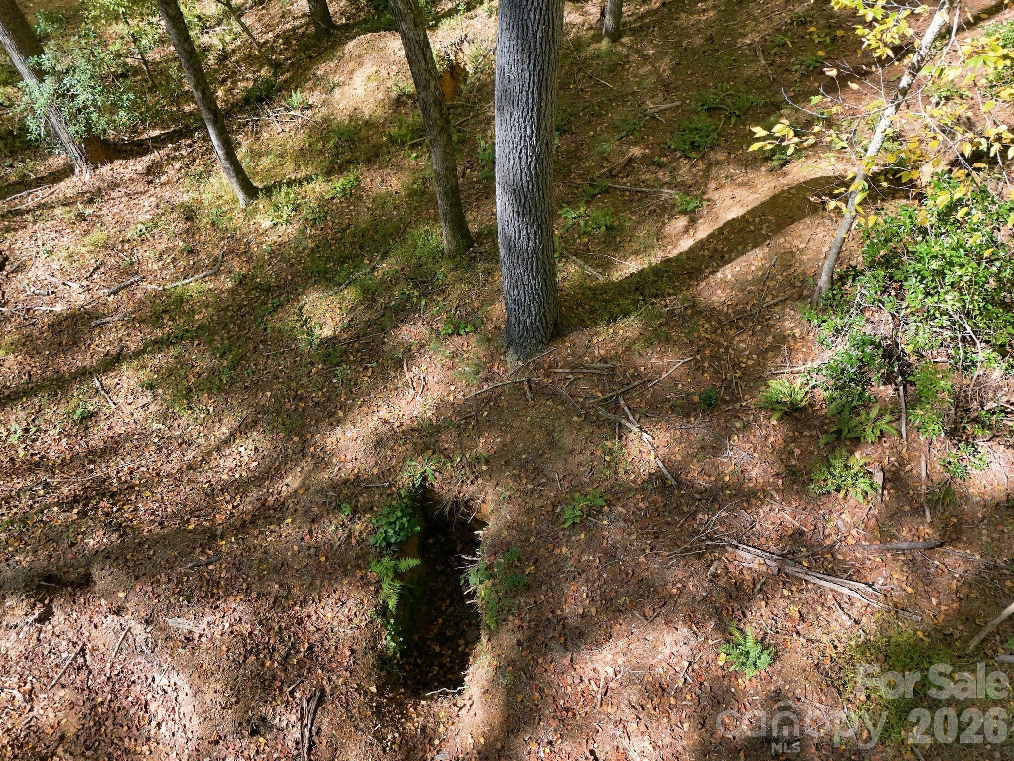 Lot at 2230 Evans Road, Hendersonville, photo 8 of 12