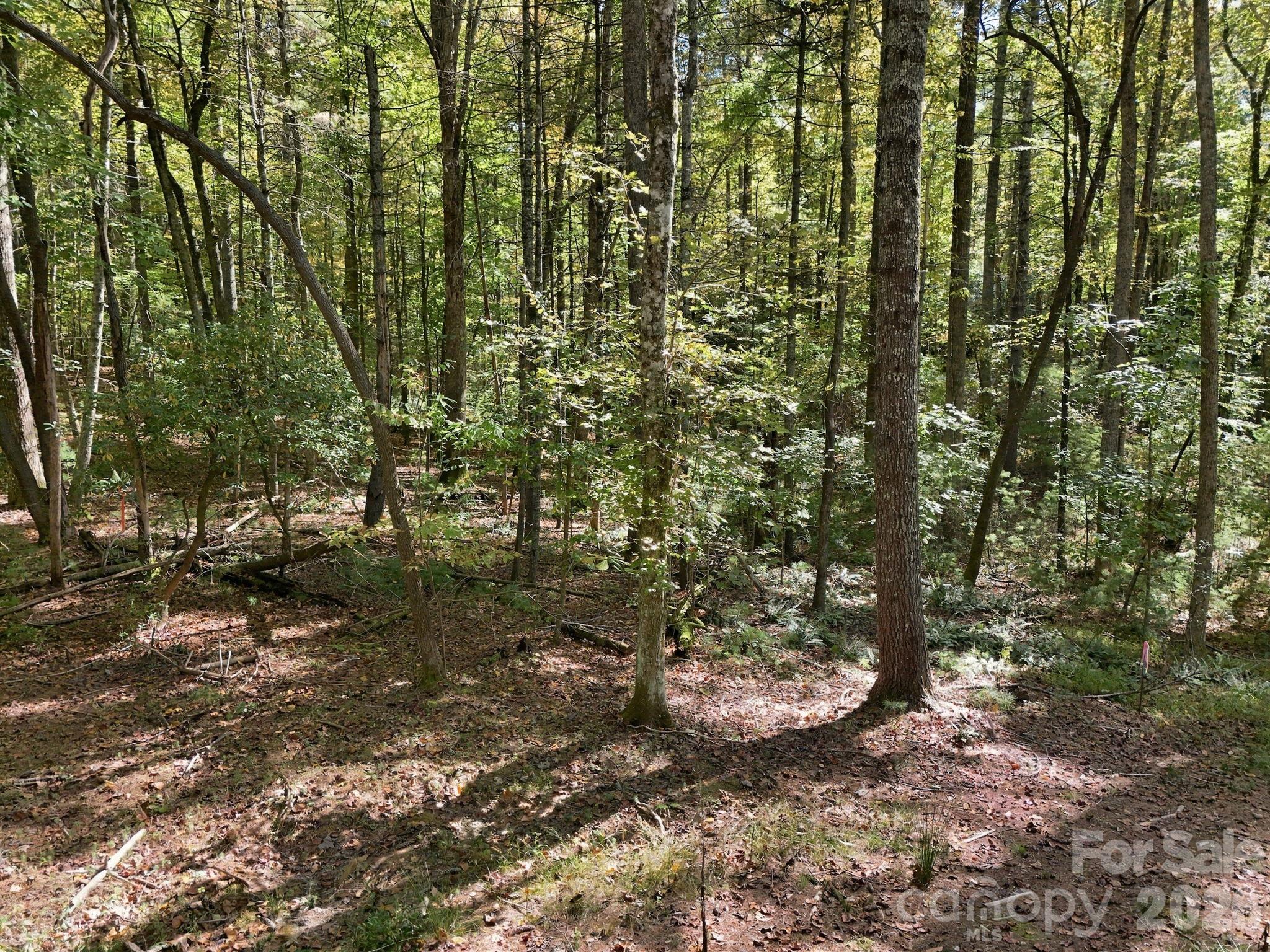 Lot at 2230 Evans Road, Hendersonville, photo 9 of 12
