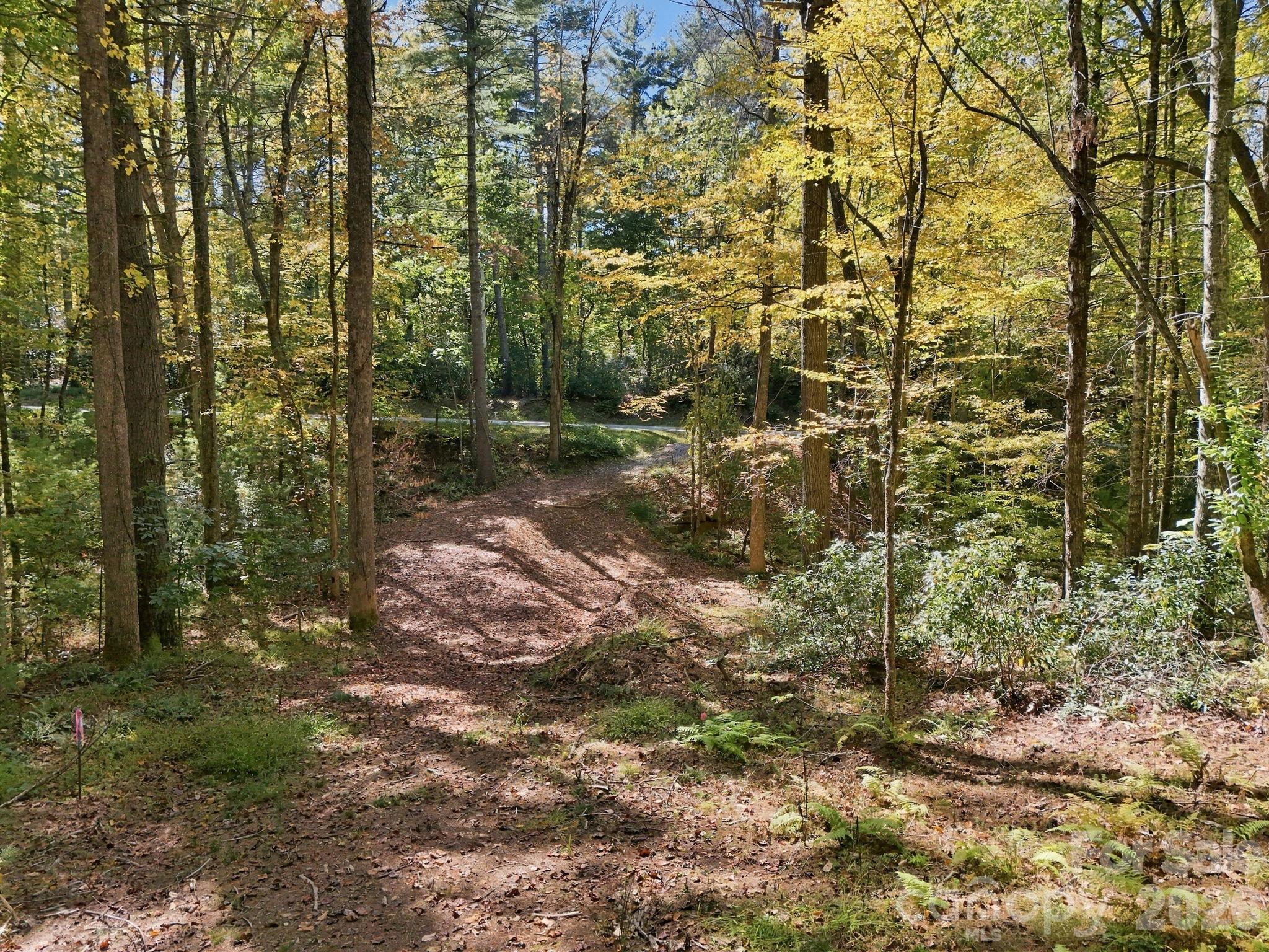 Lot at 2230 Evans Road, Hendersonville, photo 10 of 12
