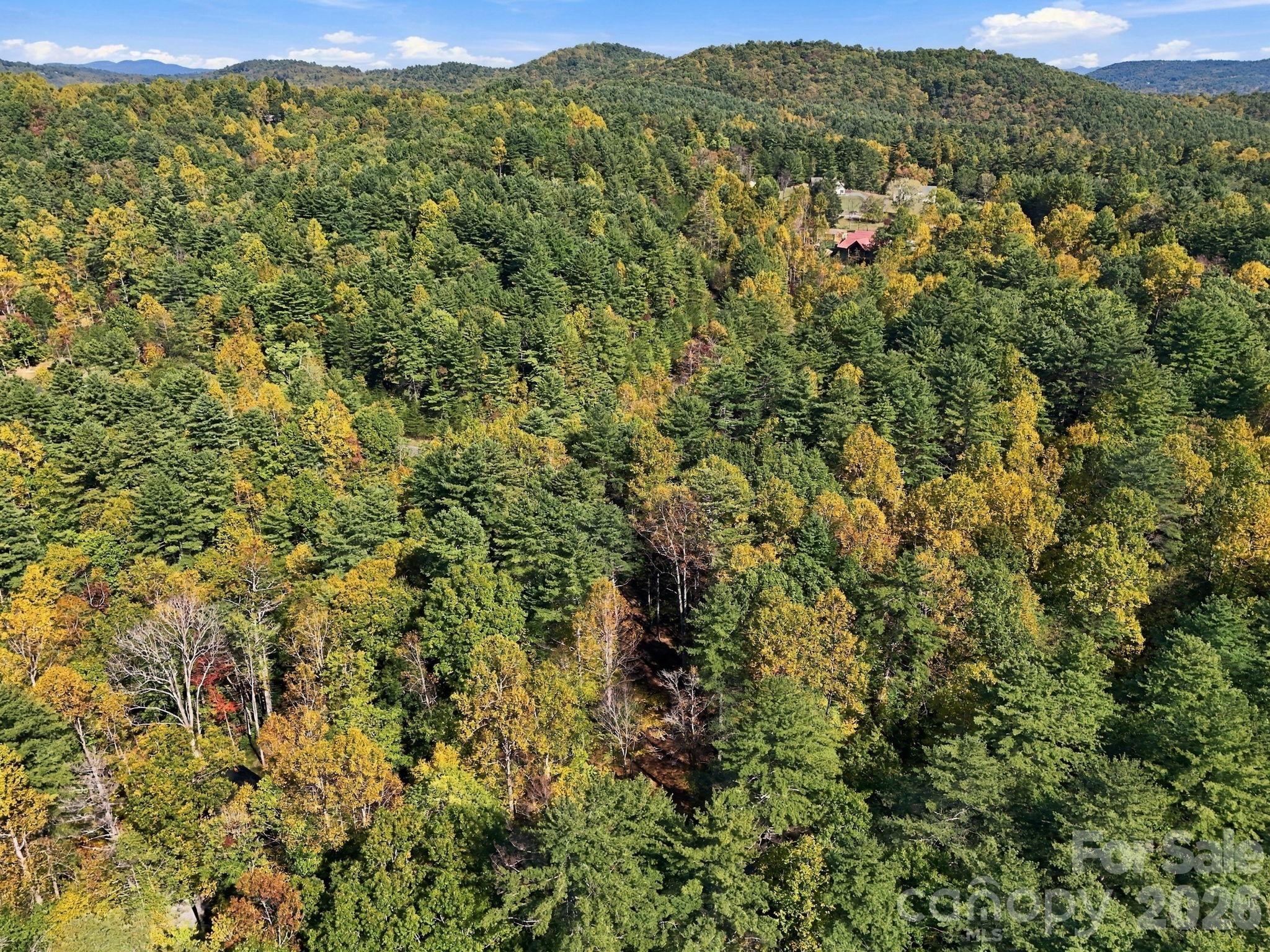 Lot at 2230 Evans Road, Hendersonville, photo 11 of 12