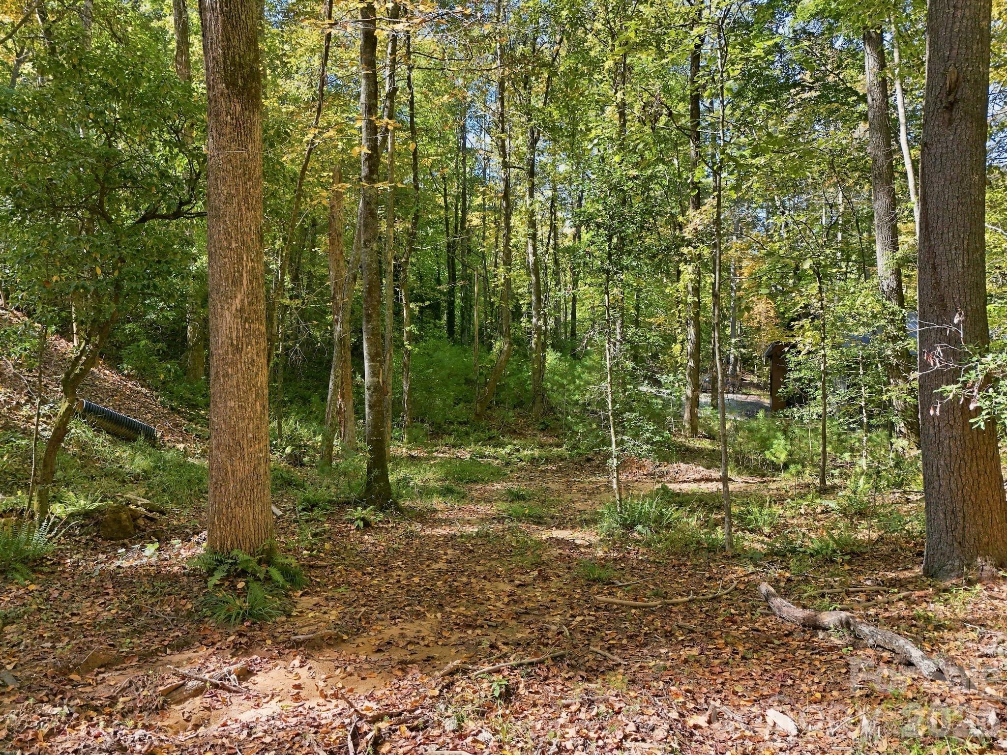 Lot at 2230 Evans Road, Hendersonville, photo 12 of 12