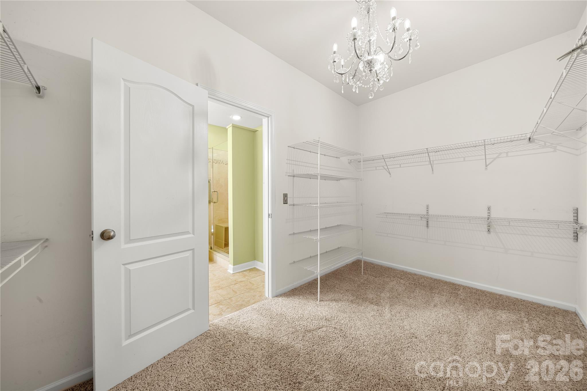 Primary Closet - 14719 Glenduff Place, Charlotte