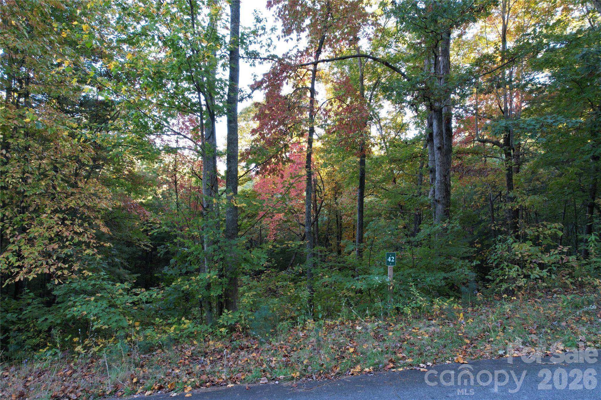Acreage at 315 Silverglen Way, Hendersonville, photo 3 of 12