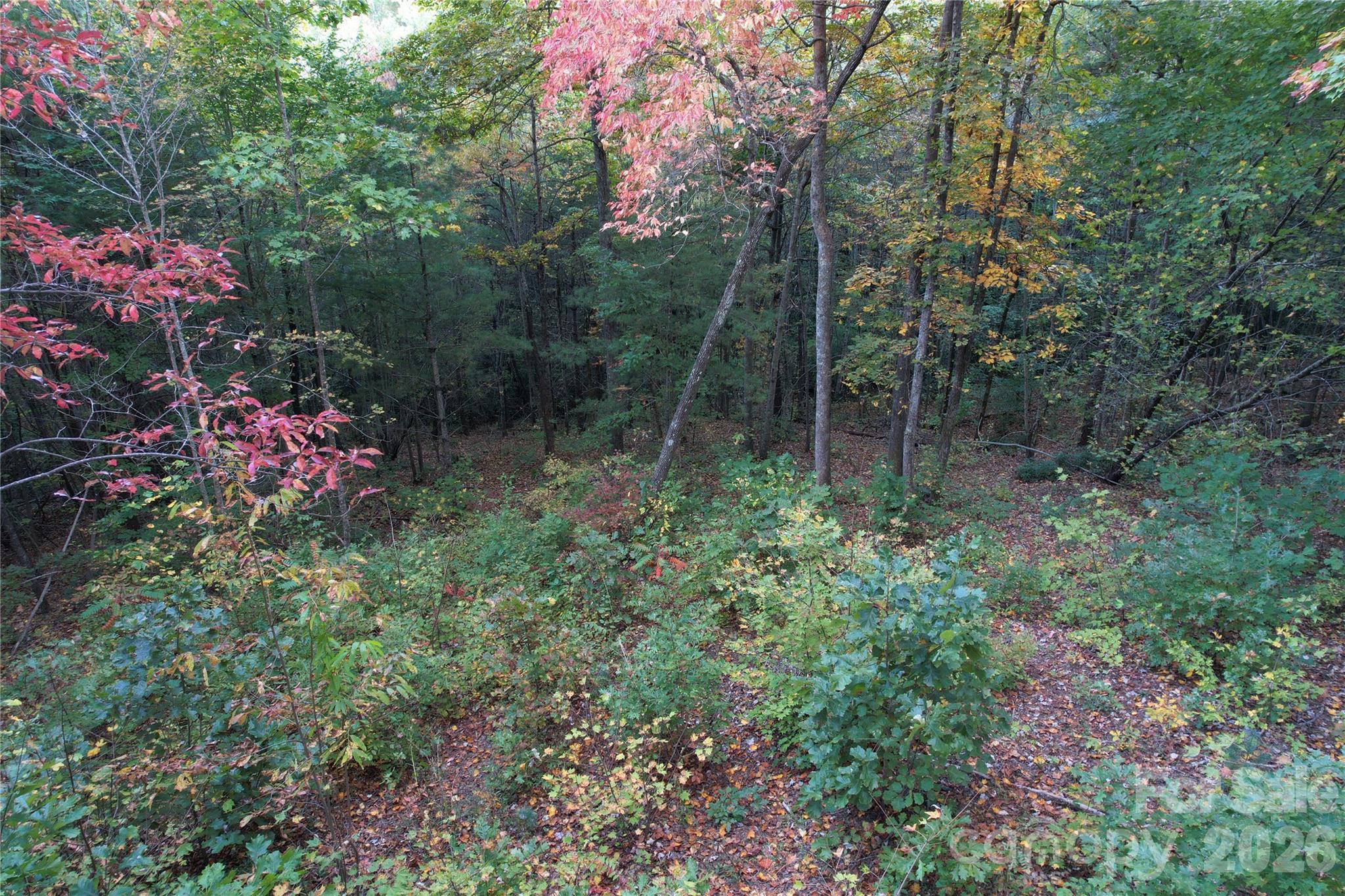 Acreage at 315 Silverglen Way, Hendersonville, photo 5 of 12