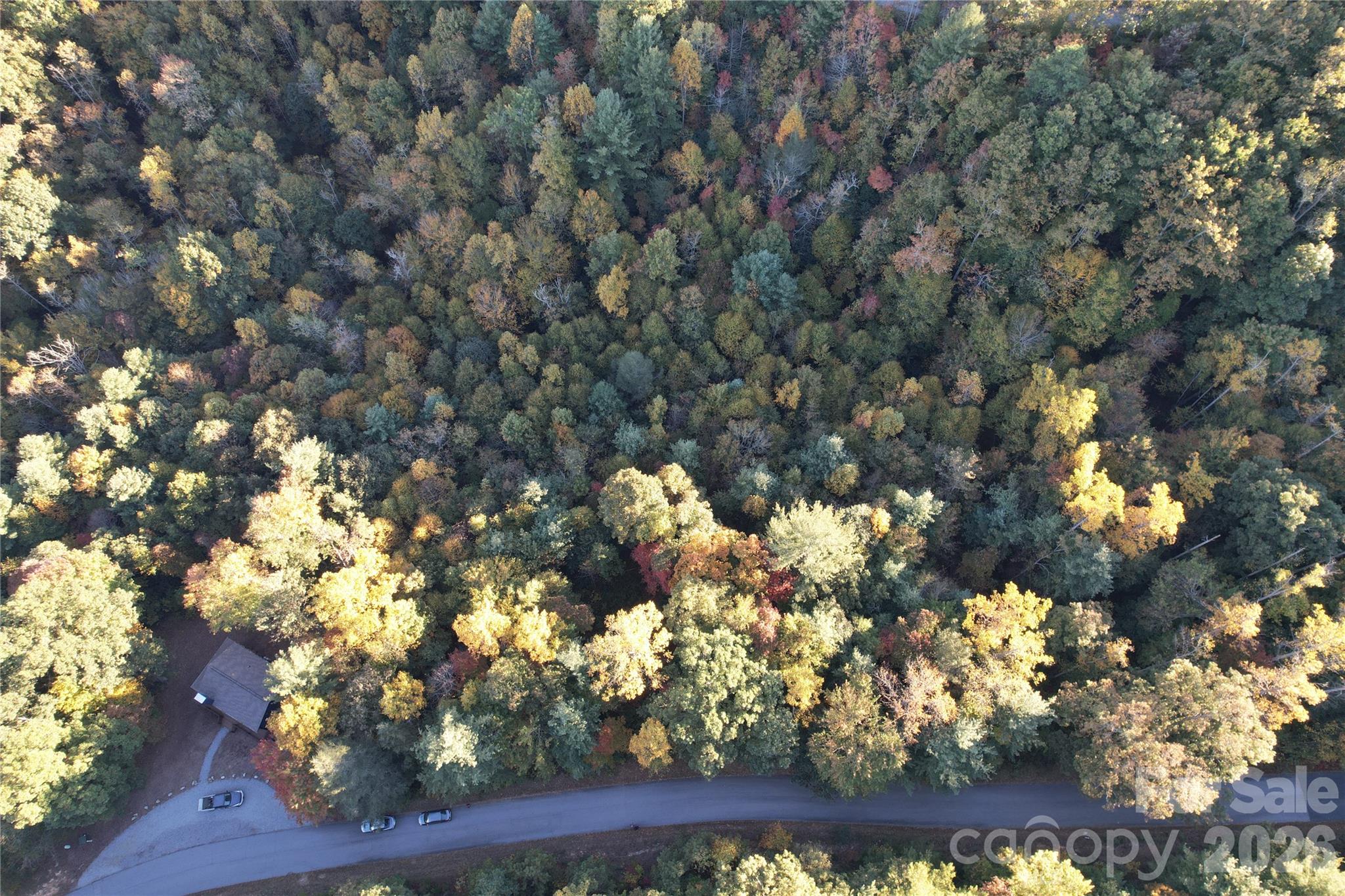 Acreage at 315 Silverglen Way, Hendersonville, photo 10 of 12