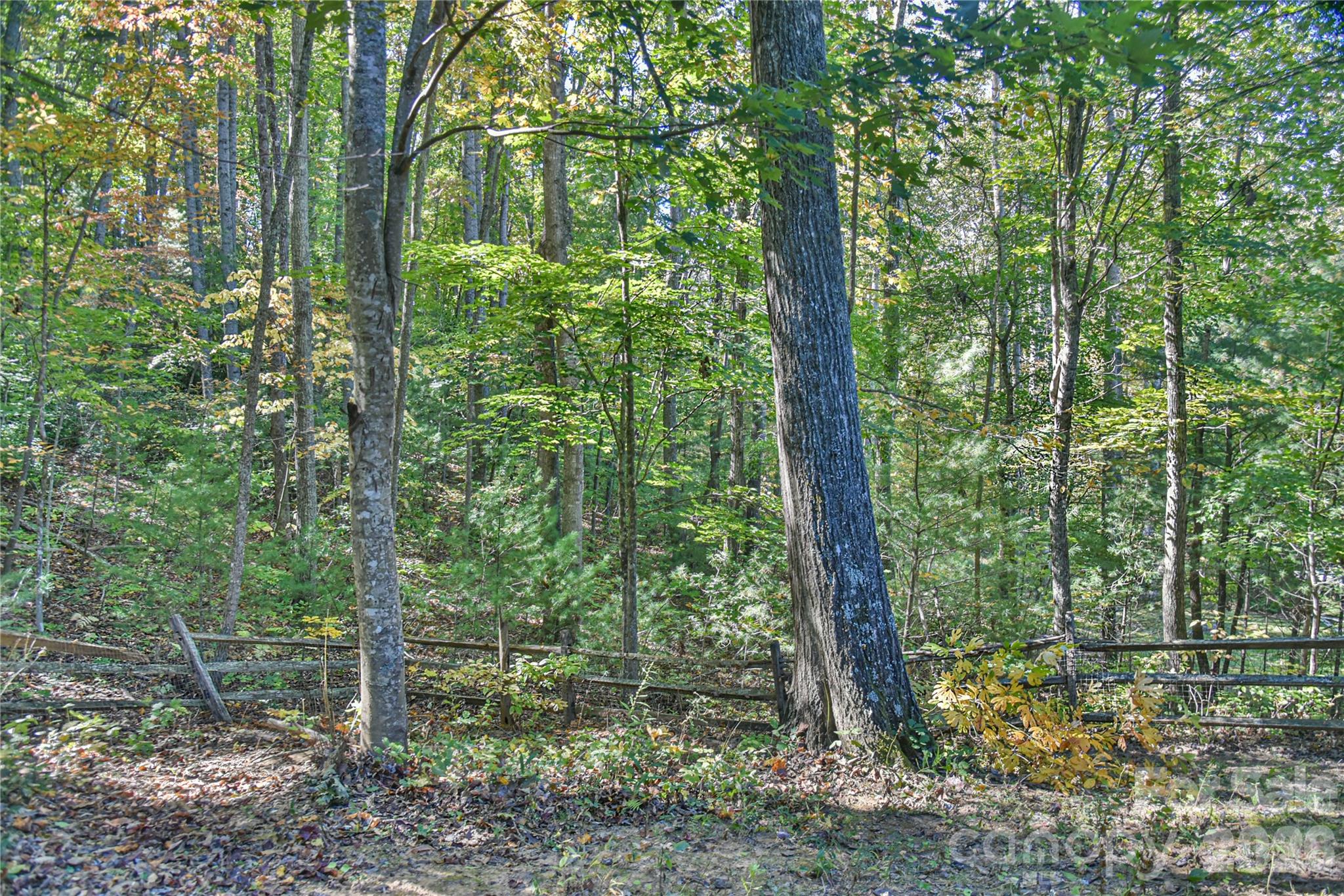 Nature abounds. - 39 Oak Hollow Drive, Asheville