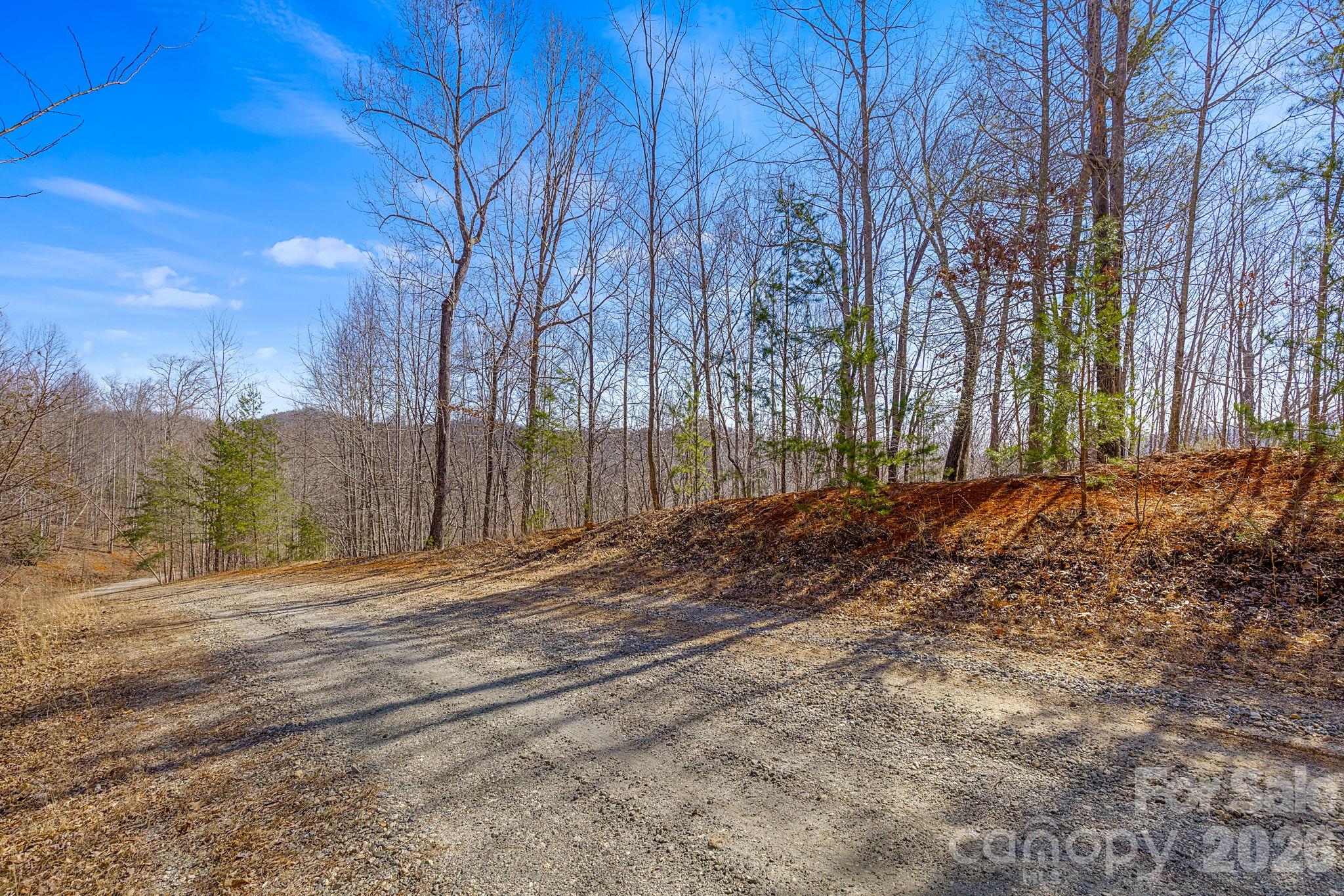00 Champagne Ridge