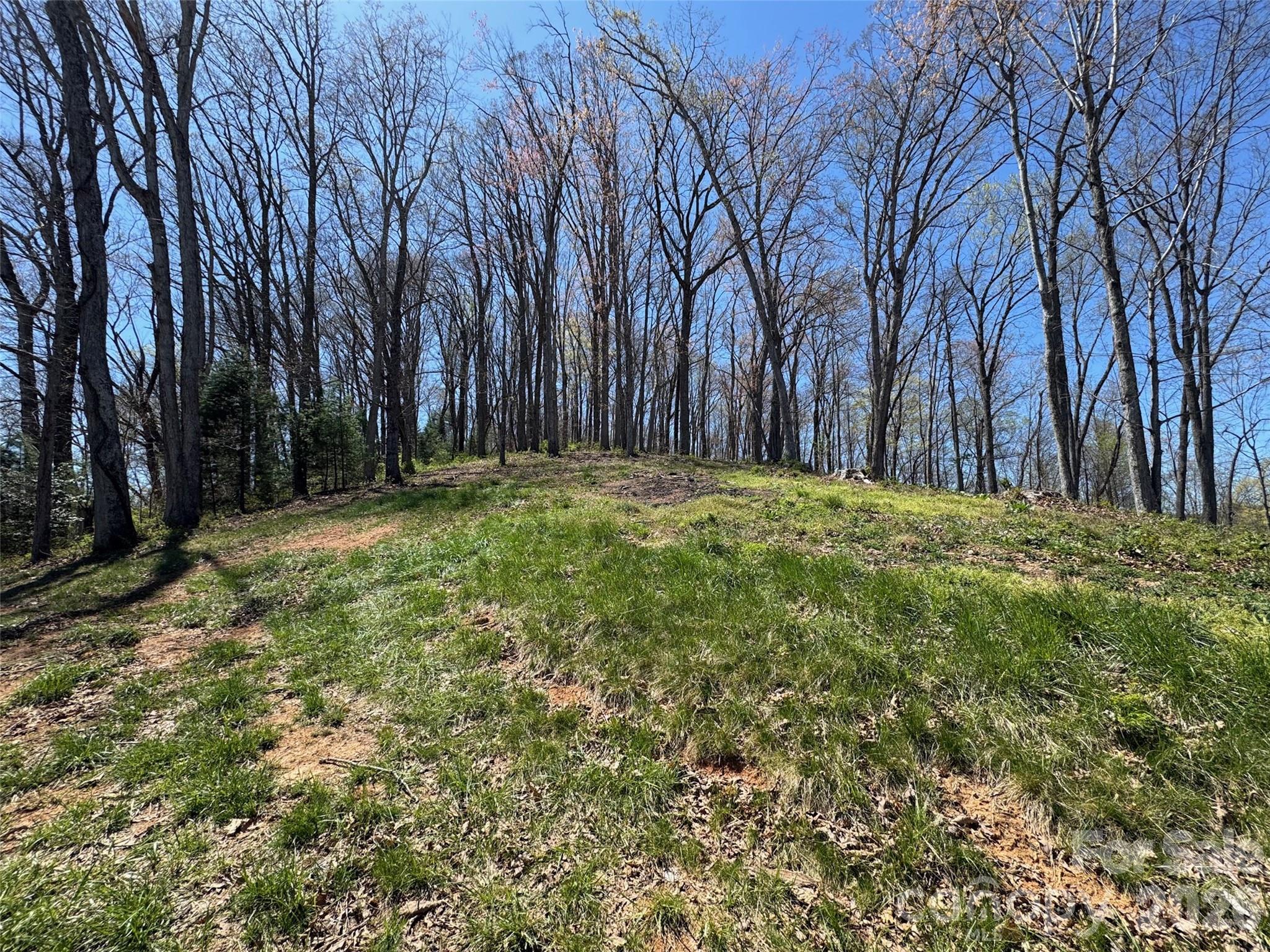 Lot at 00 Aster Ridge Drive, Waynesville, photo 16 of 39