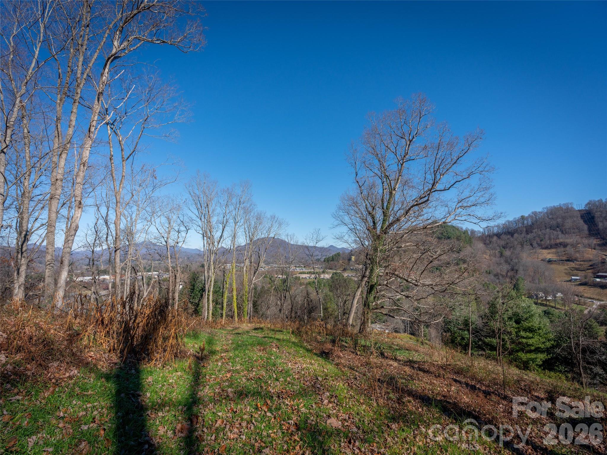 Lot at 00 Aster Ridge Drive, Waynesville, photo 18 of 39