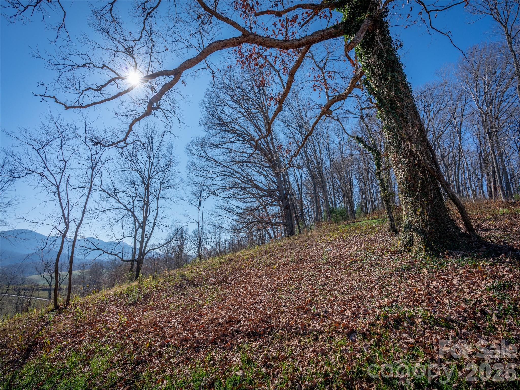 Lot at 00 Aster Ridge Drive, Waynesville, photo 20 of 39