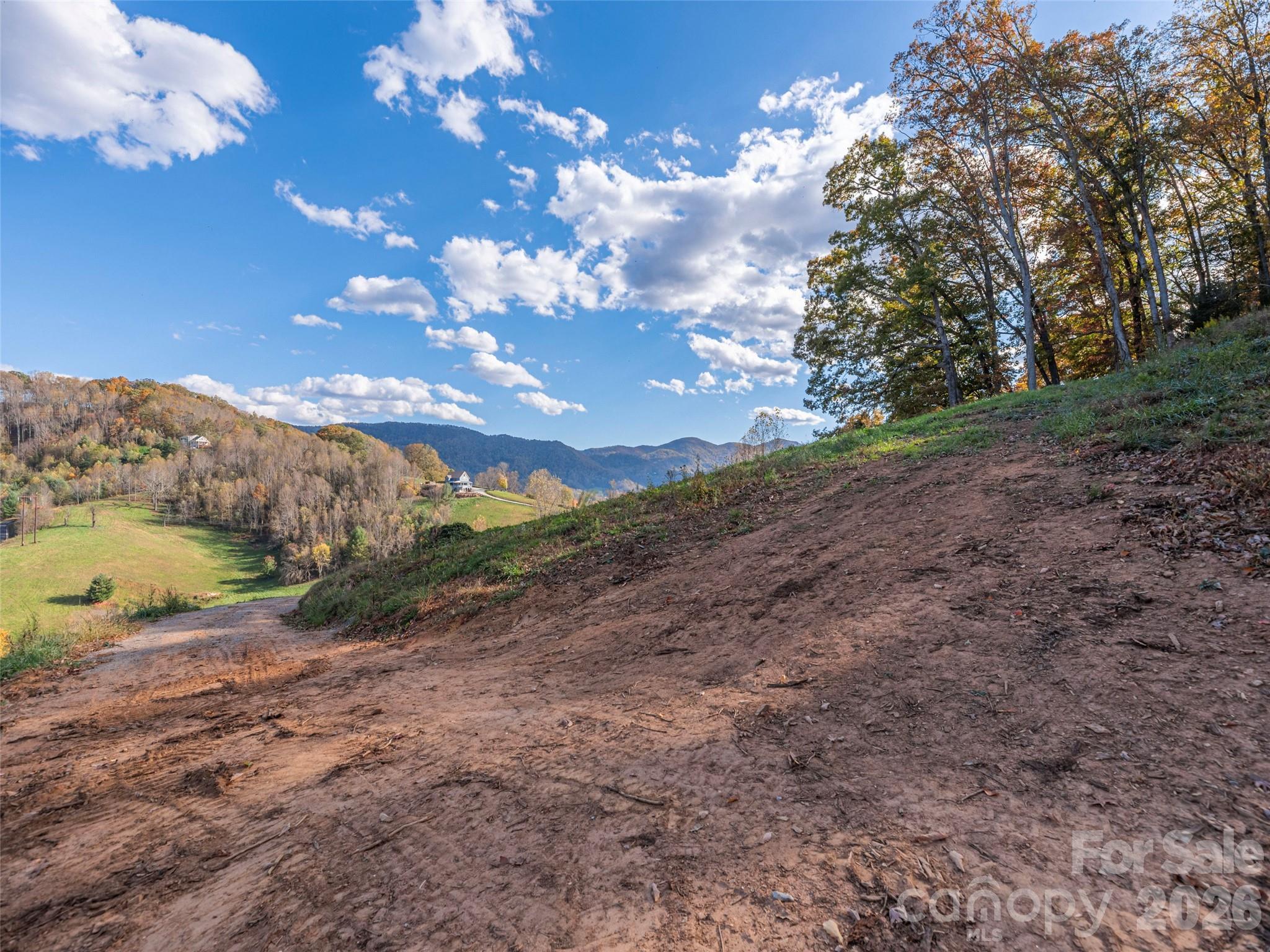 Lot at 00 Aster Ridge Drive, Waynesville, photo 26 of 39