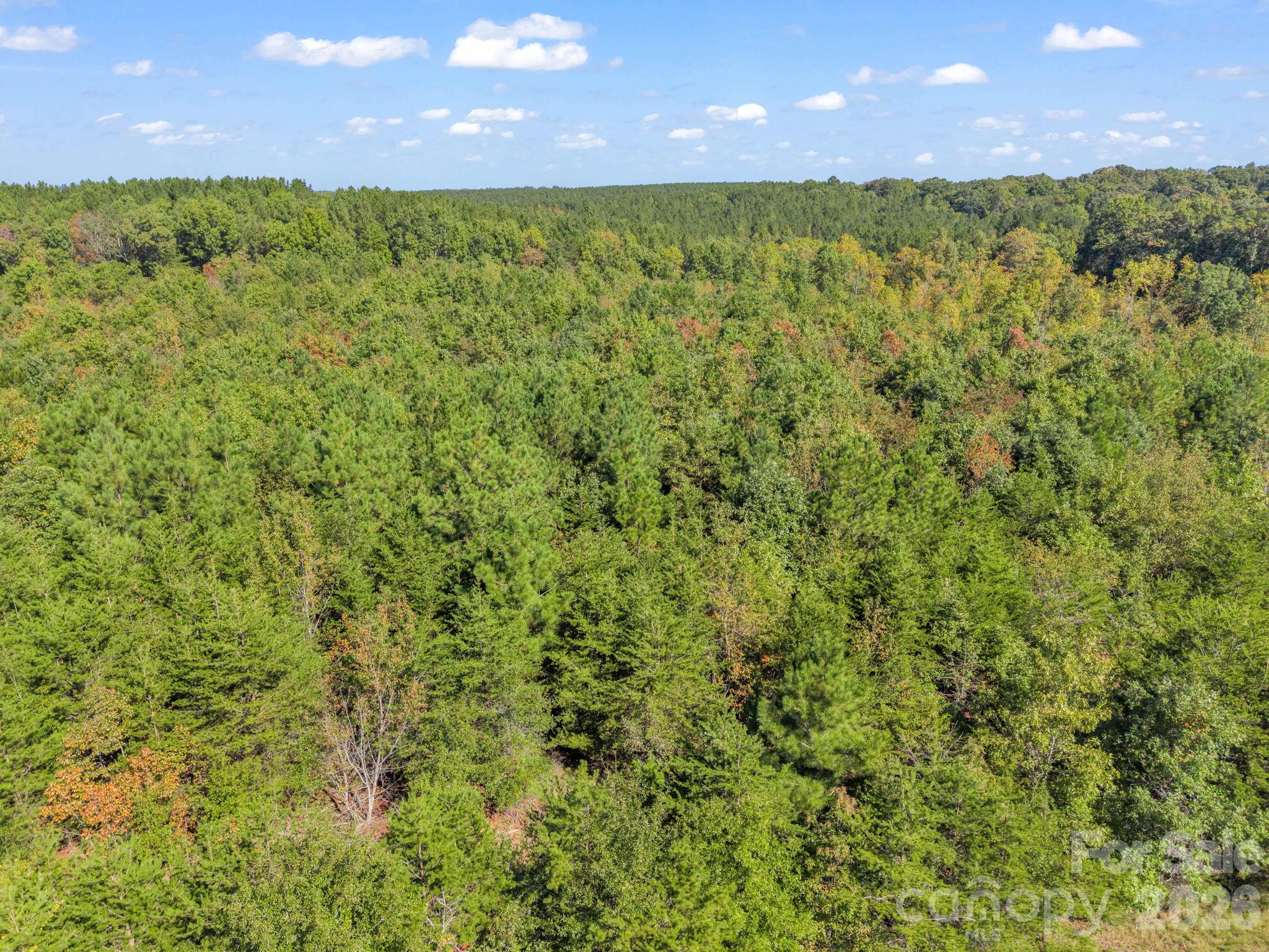 Acreage at 0 Chase high Road, Forest City, photo 2 of 14