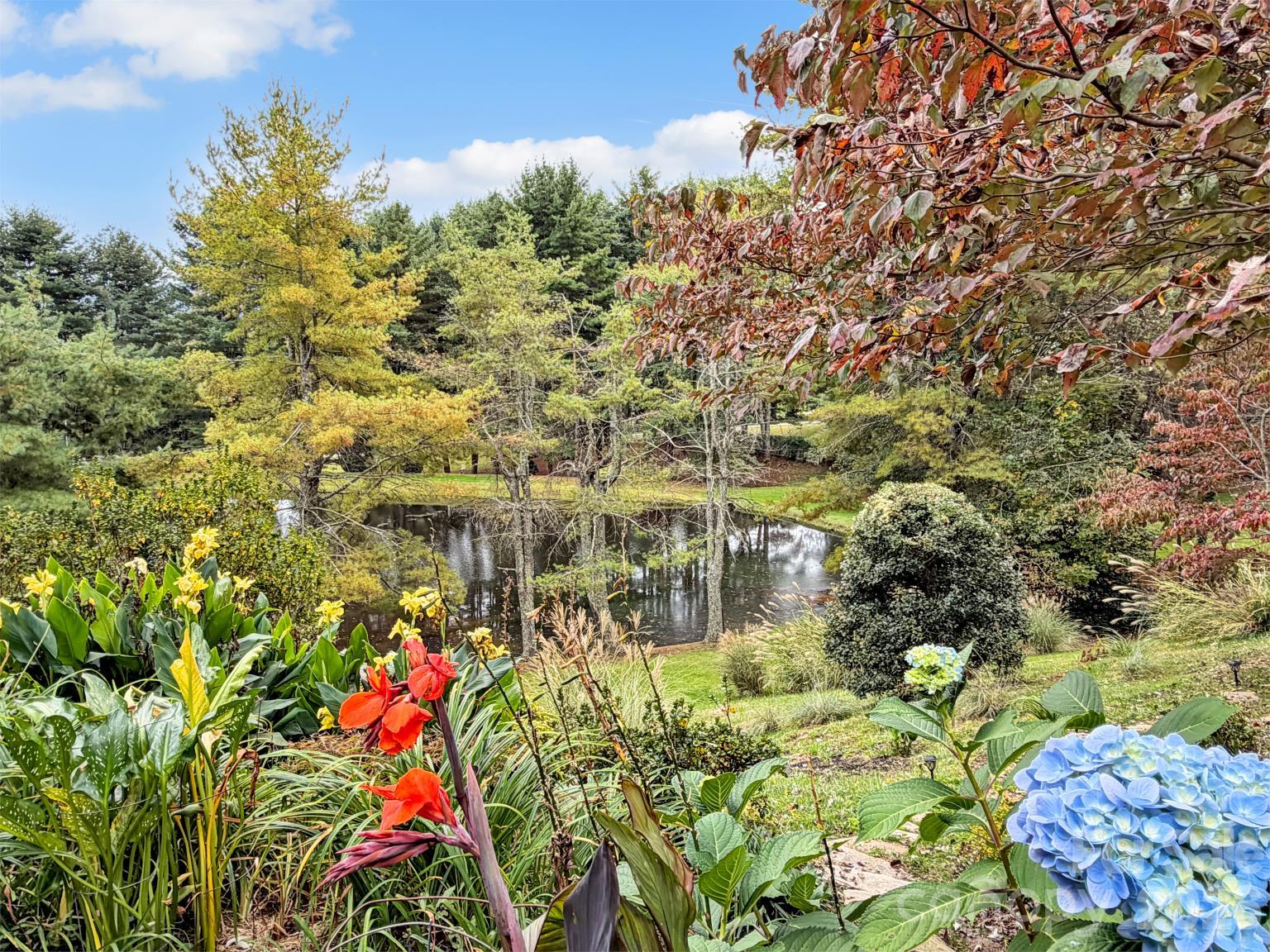 Garden and neighbors pond - 91 Worsham Drive, Waynesville
