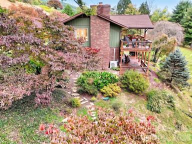 Stone Path to the west garden - 91 Worsham Drive, Waynesville