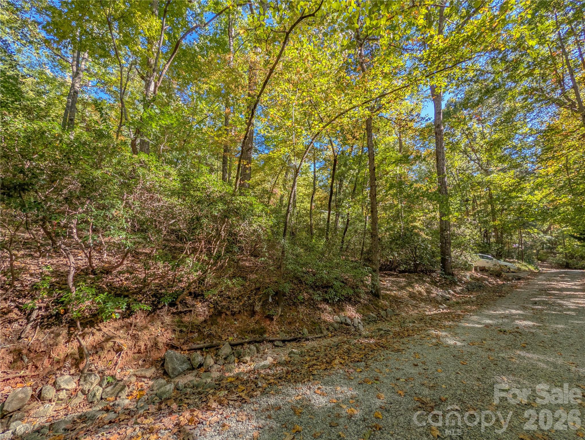 .32 AC of gently sloping wooded lot - 0 E Wilderness Road, Lake Lure