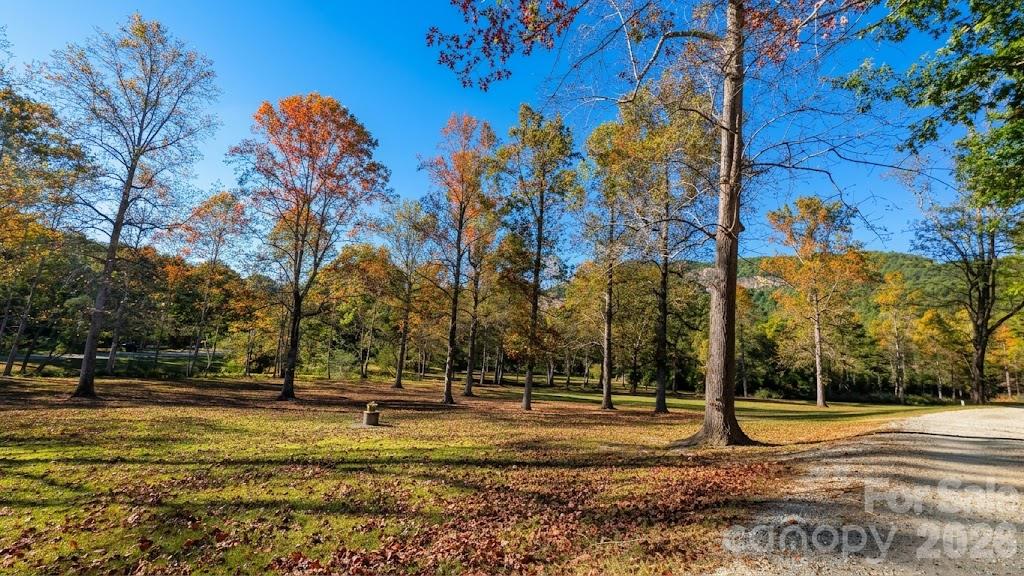 Park-like setting as you enter the gate - 0 E Wilderness Road, Lake Lure