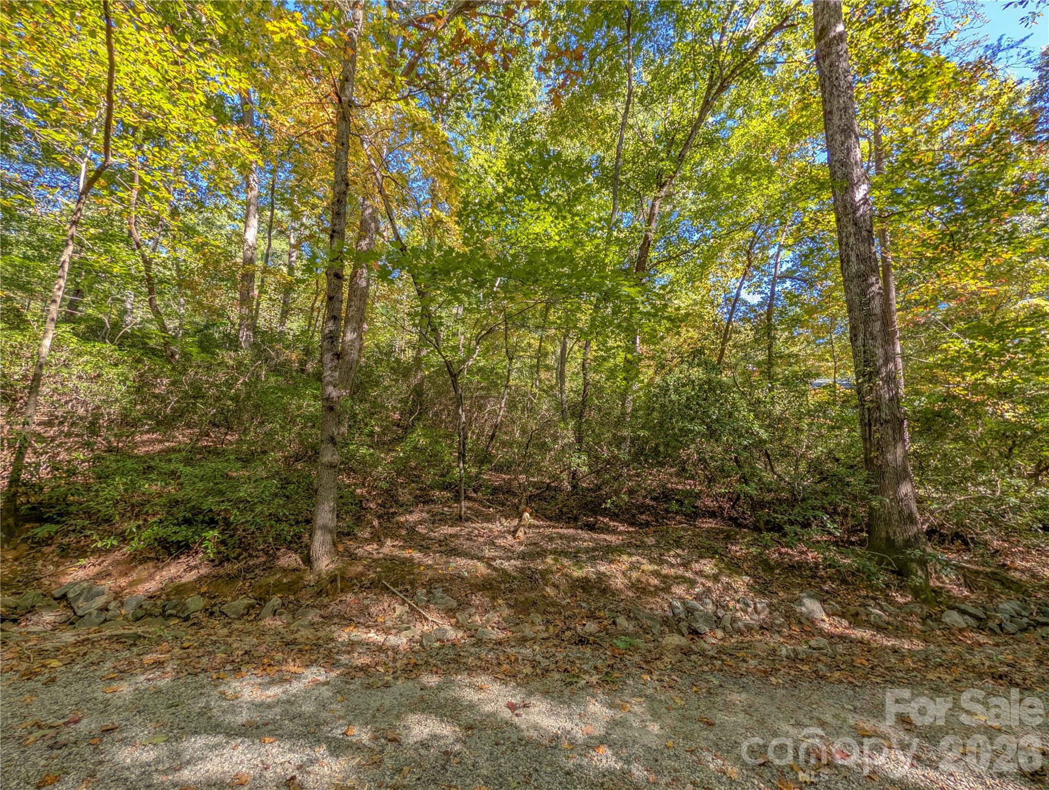 Ready for your vision - 0 E Wilderness Road, Lake Lure