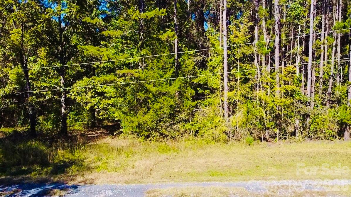 Acreage at TBD Jesse Safrit Road, Salisbury, photo 8 of 26