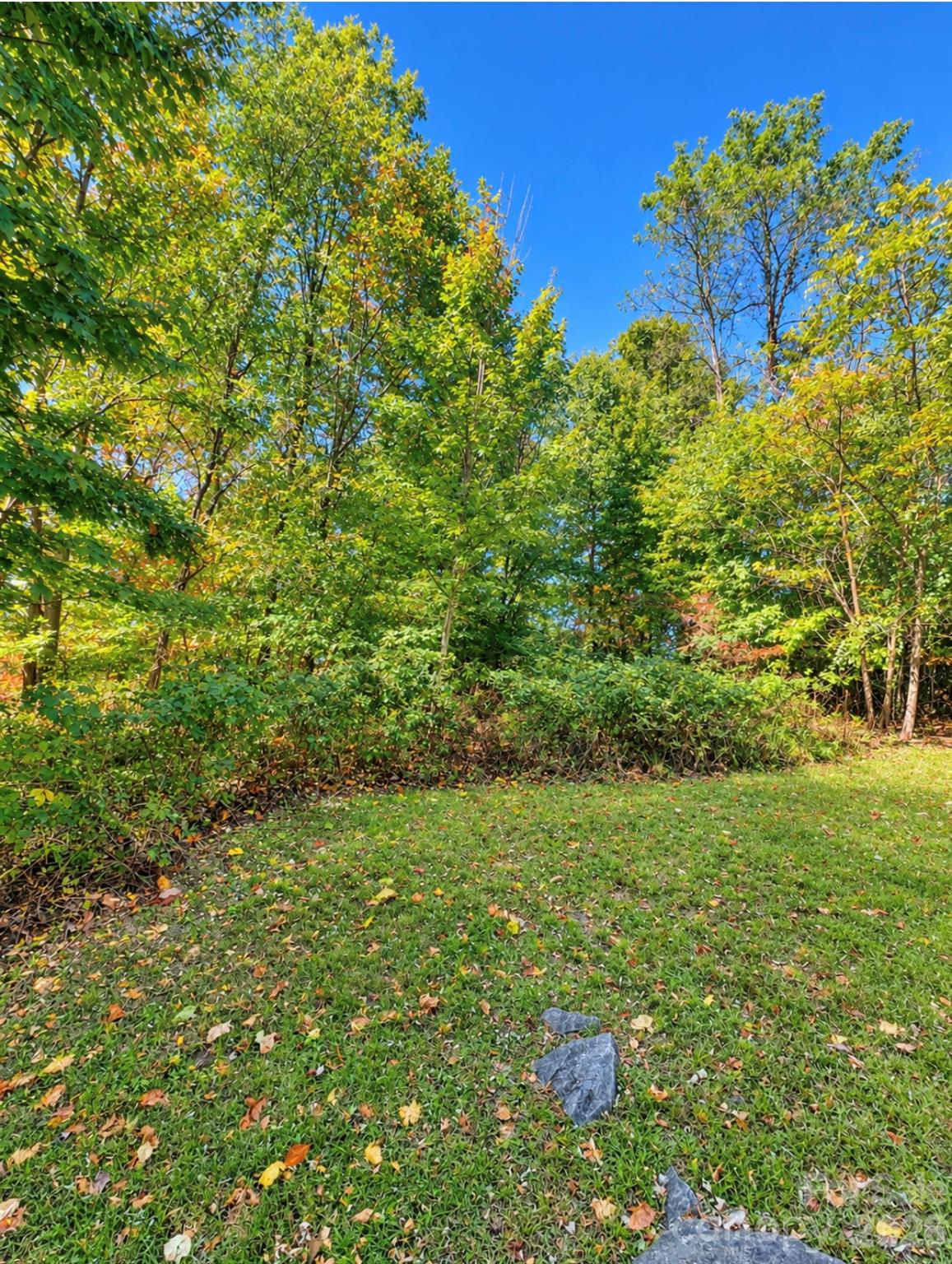 Lot at 0000 Ladys Fern Trail, Hendersonville, photo 8 of 13