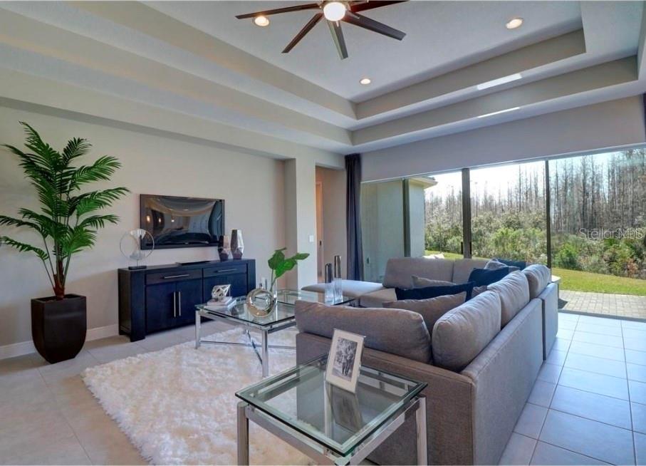 Single Family Residence at 30582 IVY FORGE CT, WESLEY CHAPEL, photo 5 of 36