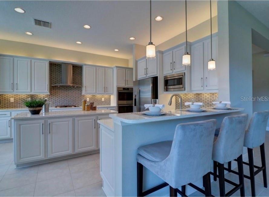 Single Family Residence at 30582 IVY FORGE CT, WESLEY CHAPEL, photo 9 of 36