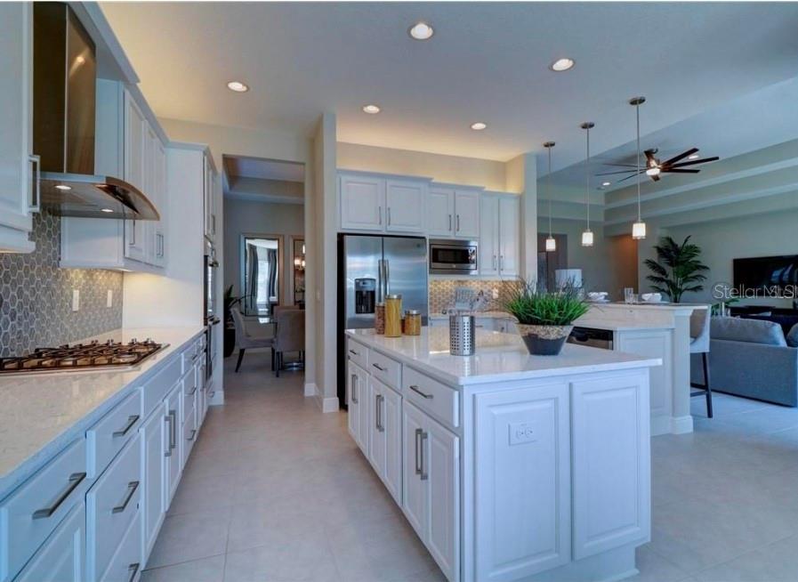 Single Family Residence at 30582 IVY FORGE CT, WESLEY CHAPEL, photo 12 of 36